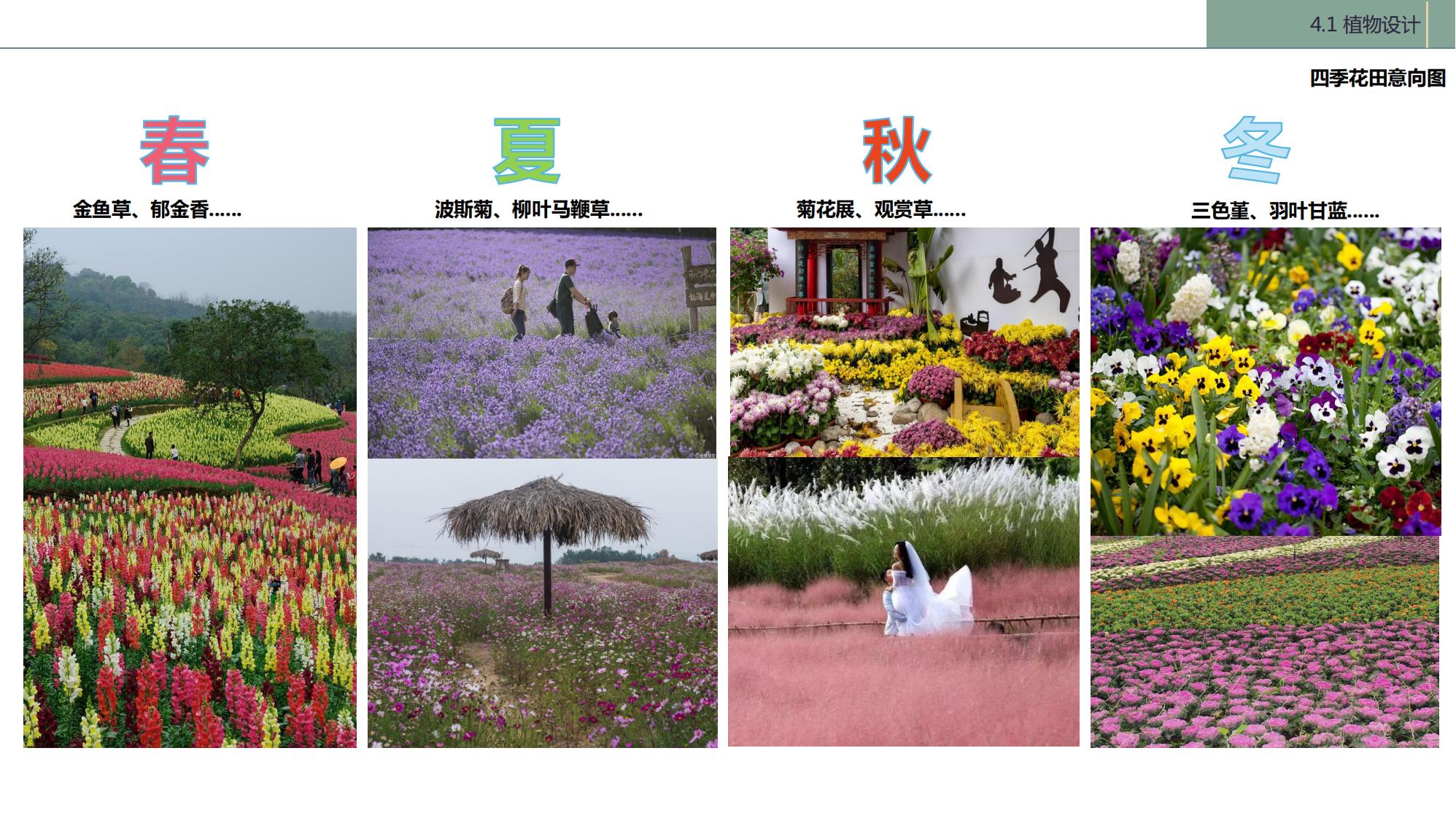 图片[115]-陇南康县民宿花海农场乡村文旅项目方案文本 - 由甫网-由甫网