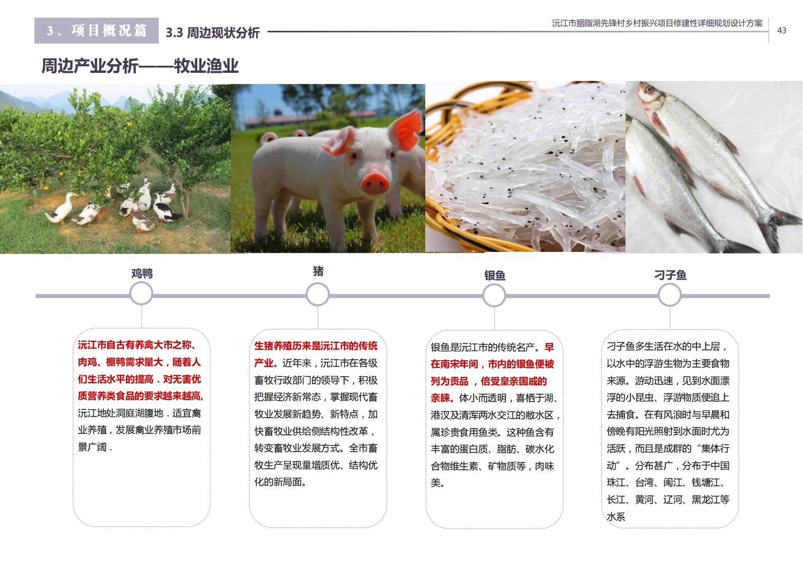 图片[32]-沅江胭脂湖街道先锋村乡村振兴项目方案 - 由甫网-由甫网