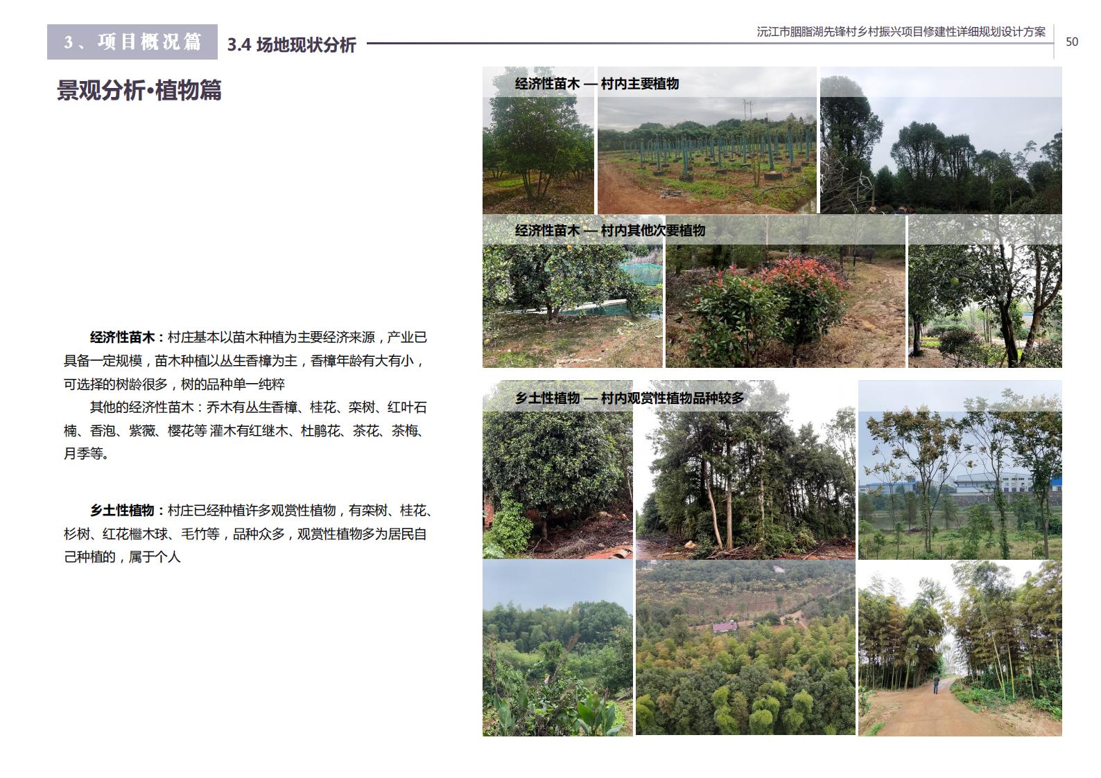 图片[39]-沅江胭脂湖街道先锋村乡村振兴项目方案 - 由甫网-由甫网