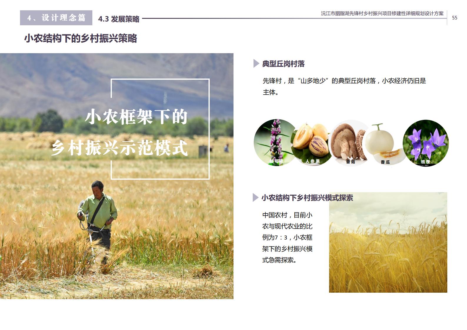 图片[44]-沅江胭脂湖街道先锋村乡村振兴项目方案 - 由甫网-由甫网