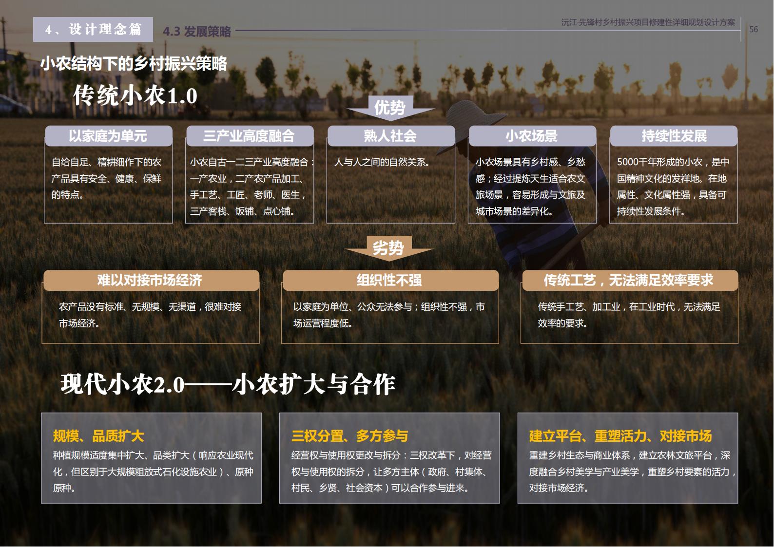 图片[45]-沅江胭脂湖街道先锋村乡村振兴项目方案 - 由甫网-由甫网