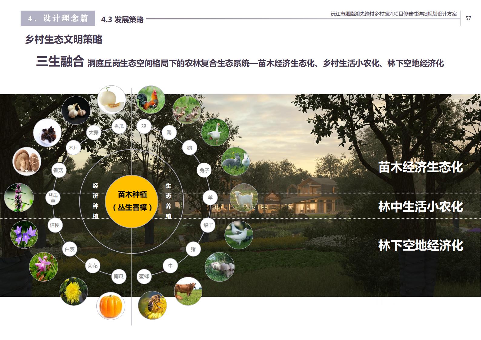 图片[46]-沅江胭脂湖街道先锋村乡村振兴项目方案 - 由甫网-由甫网