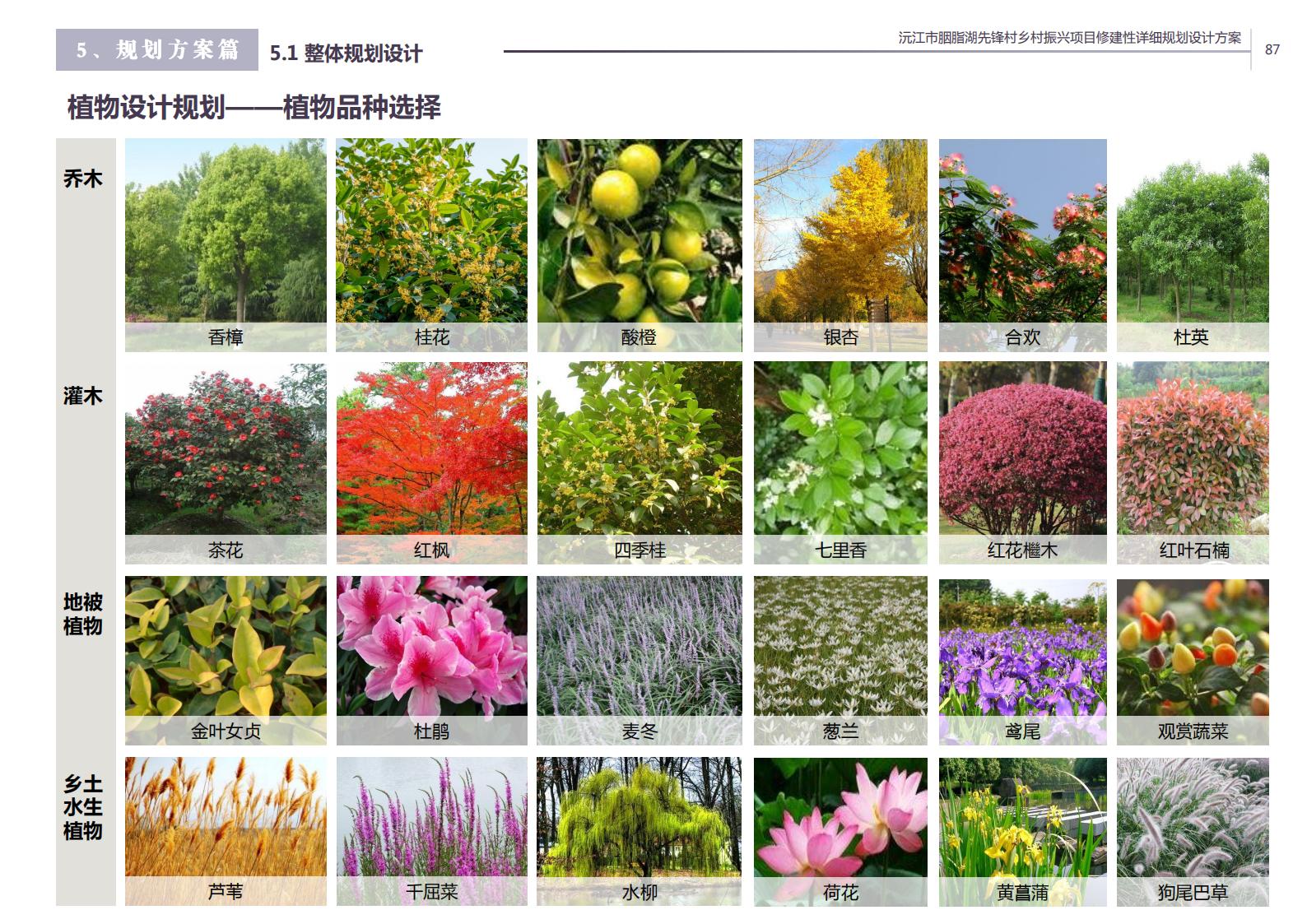 图片[76]-沅江胭脂湖街道先锋村乡村振兴项目方案 - 由甫网-由甫网