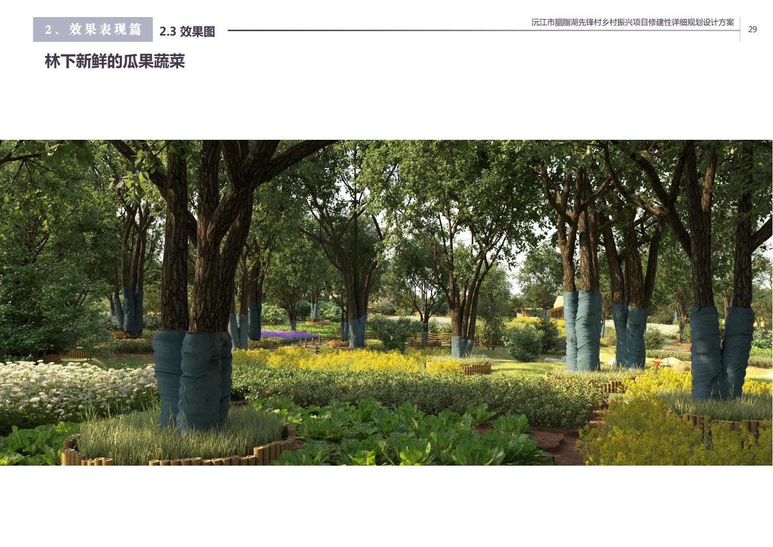 图片[17]-沅江胭脂湖街道先锋村乡村振兴项目方案 - 由甫网-由甫网