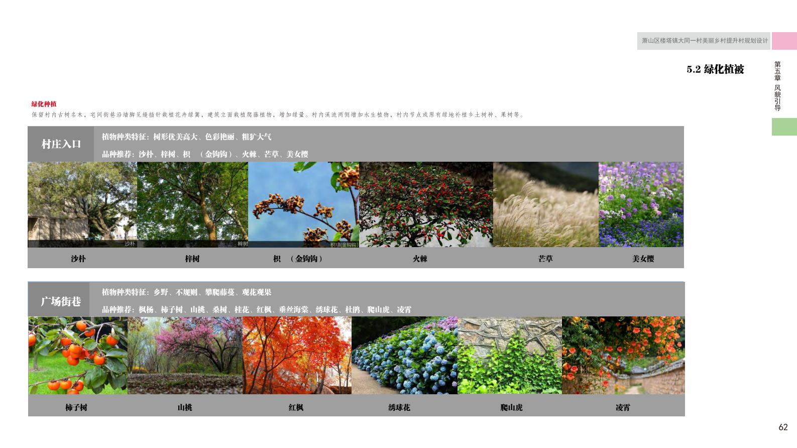 图片[70]-杭州萧山大同一村美丽乡村规划景观方案文本 - 由甫网-由甫网