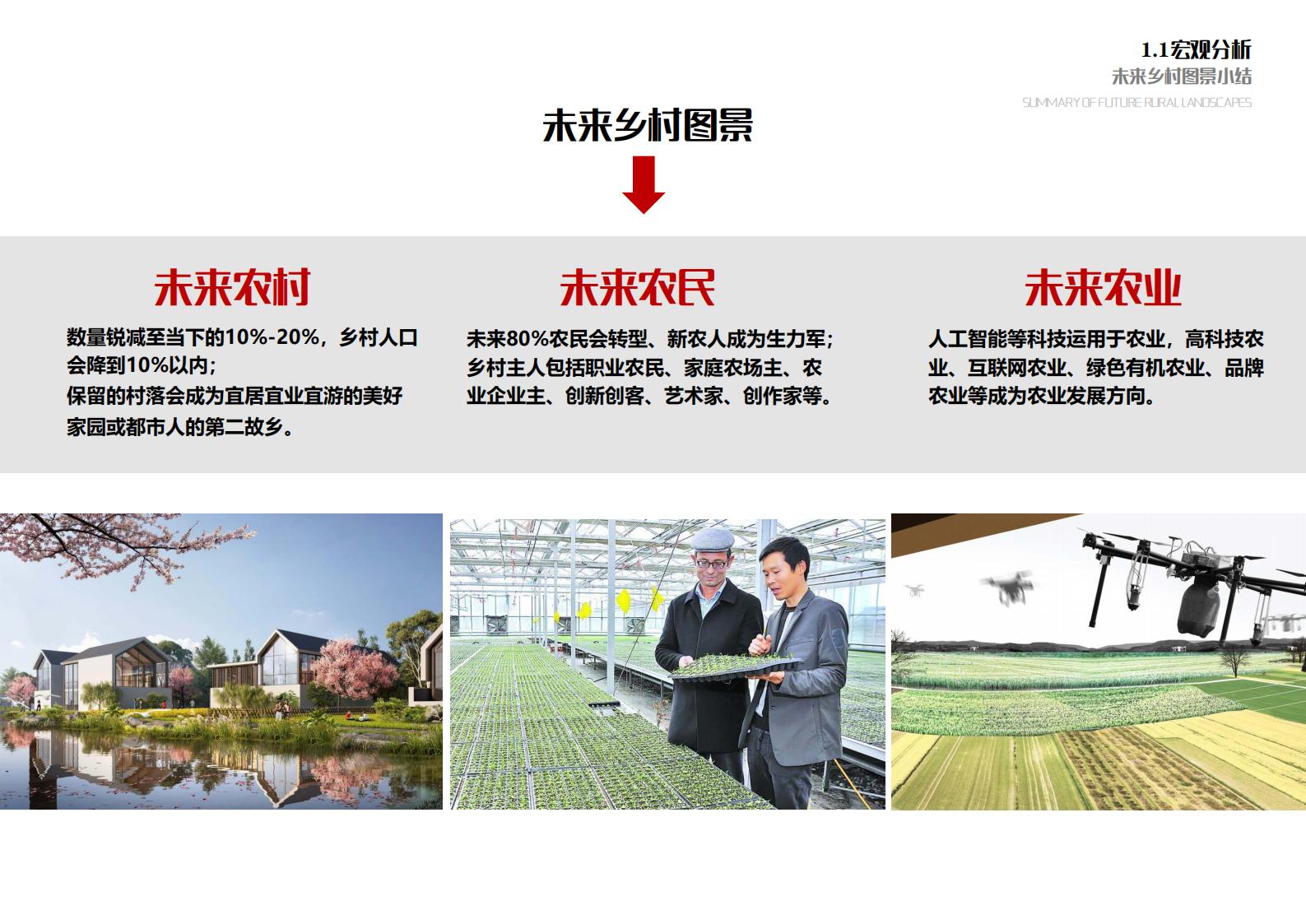 图片[13]-苏州甪直乡村振兴总体策划方案文本 - 由甫网-由甫网