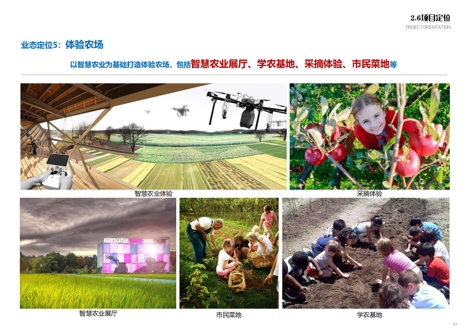 图片[55]-苏州甪直乡村振兴总体策划方案文本 - 由甫网-由甫网