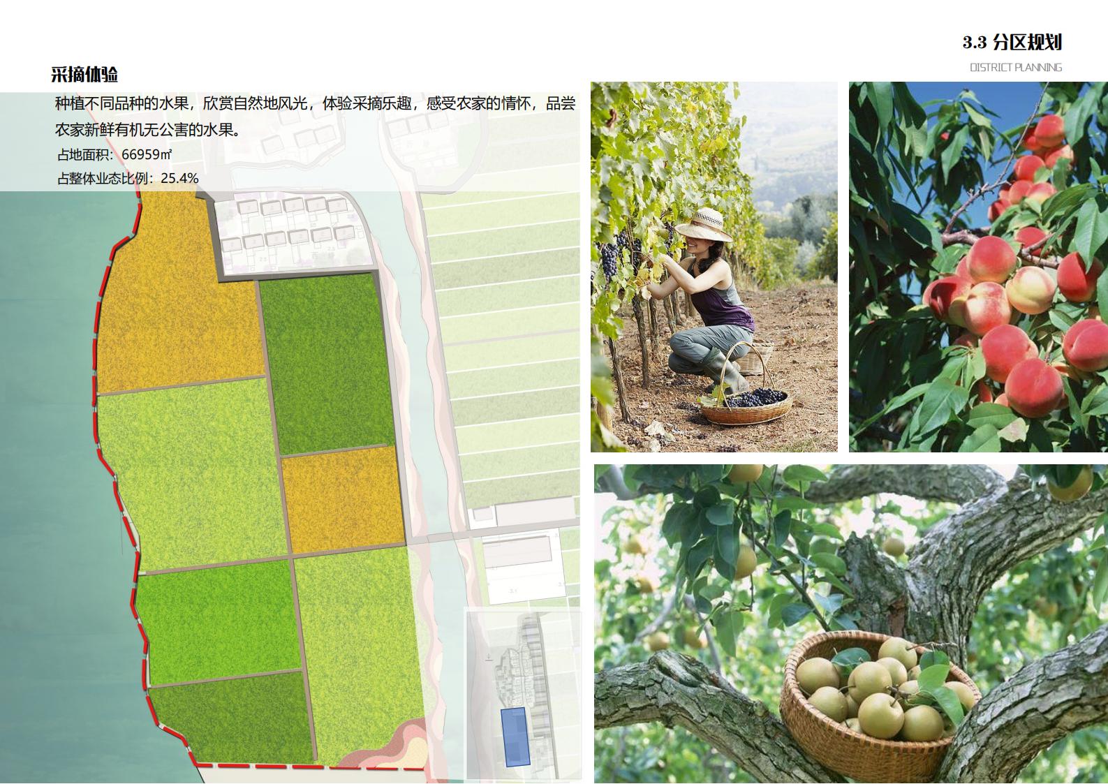 图片[79]-苏州甪直乡村振兴总体策划方案文本 - 由甫网-由甫网