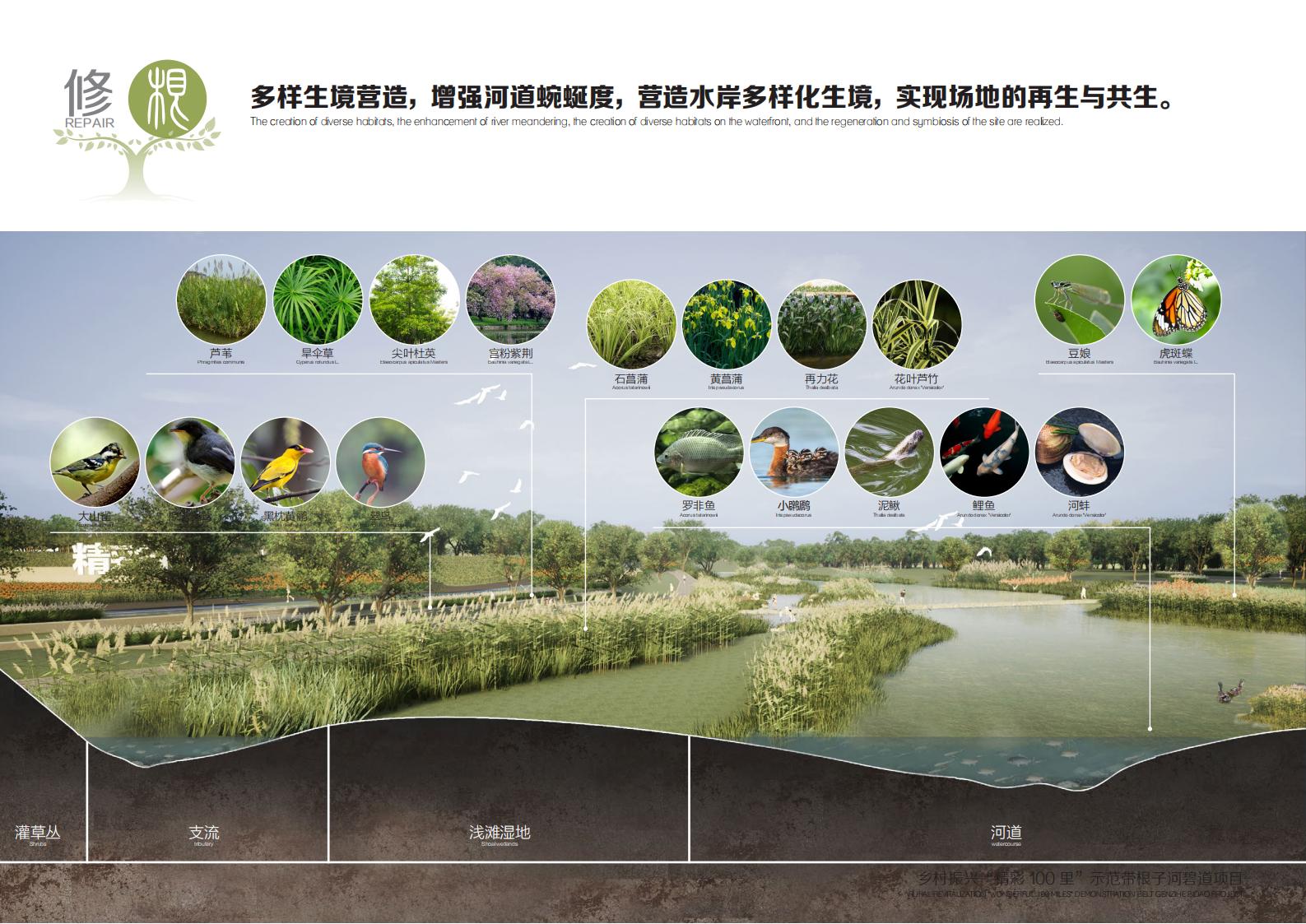 图片[27]-乡村振兴里示范带根子河碧道方案 - 由甫网-由甫网