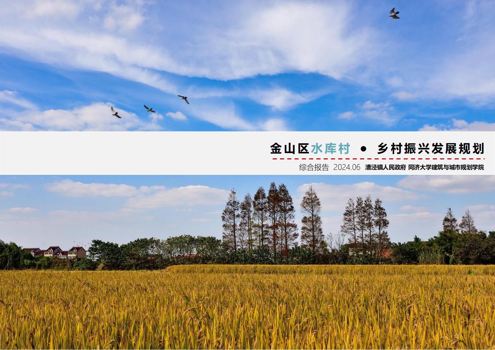 上海漕泾镇水库村乡村振兴规划方案文本 - 由甫网-由甫网
