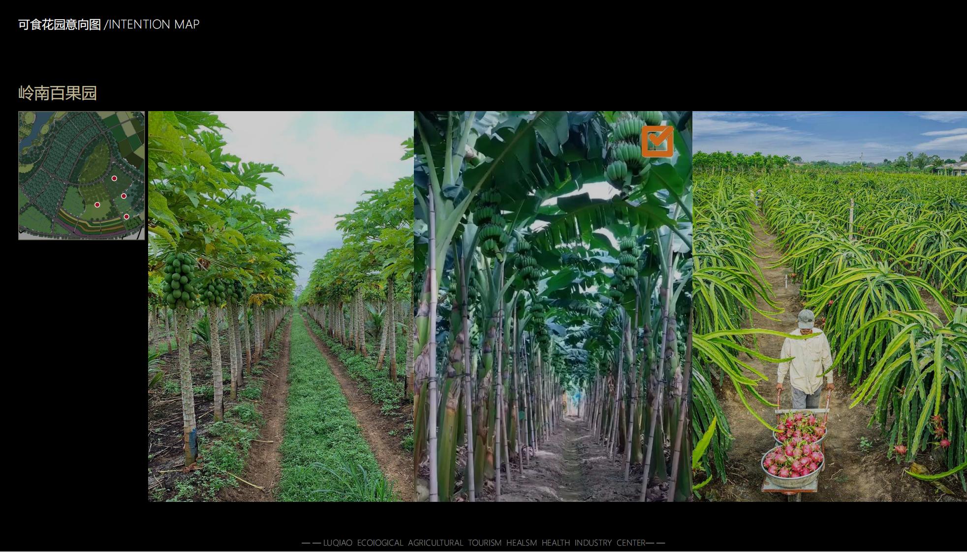 图片[86]-海口南山湖乡村振兴示范区规划方案 - 由甫网-由甫网
