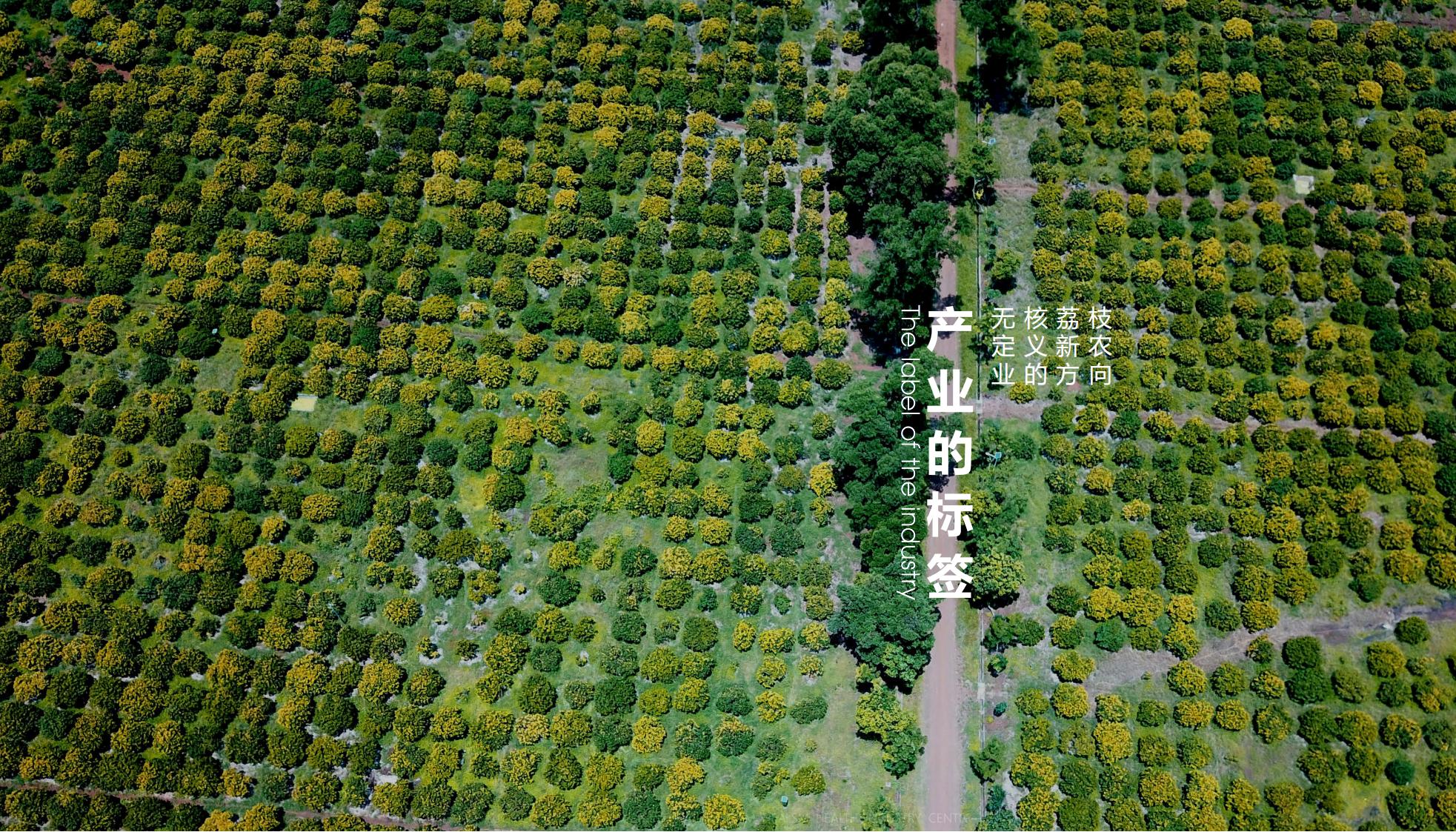 图片[8]-海口南山湖乡村振兴示范区规划方案 - 由甫网-由甫网