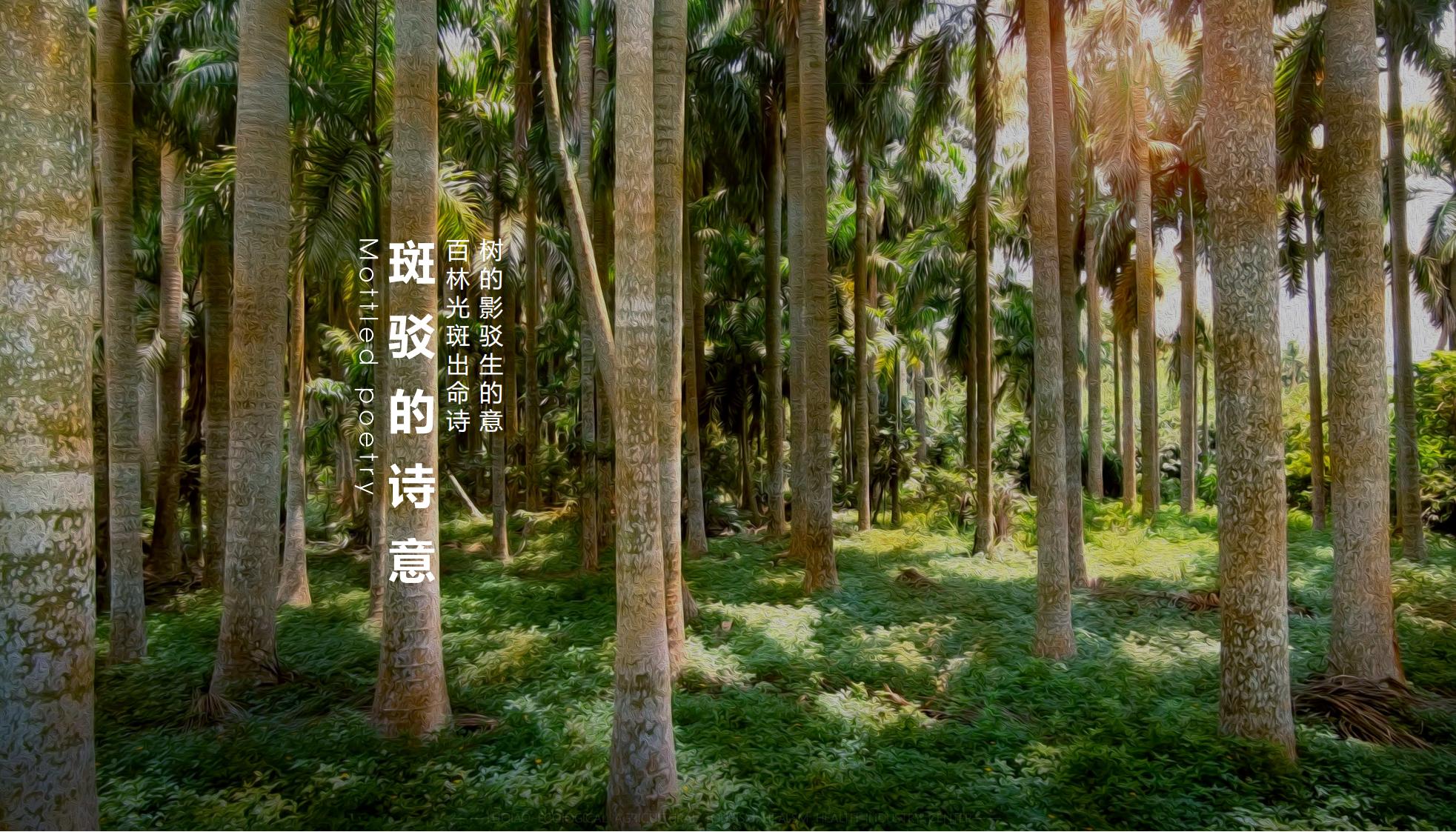图片[11]-海口南山湖乡村振兴示范区规划方案 - 由甫网-由甫网