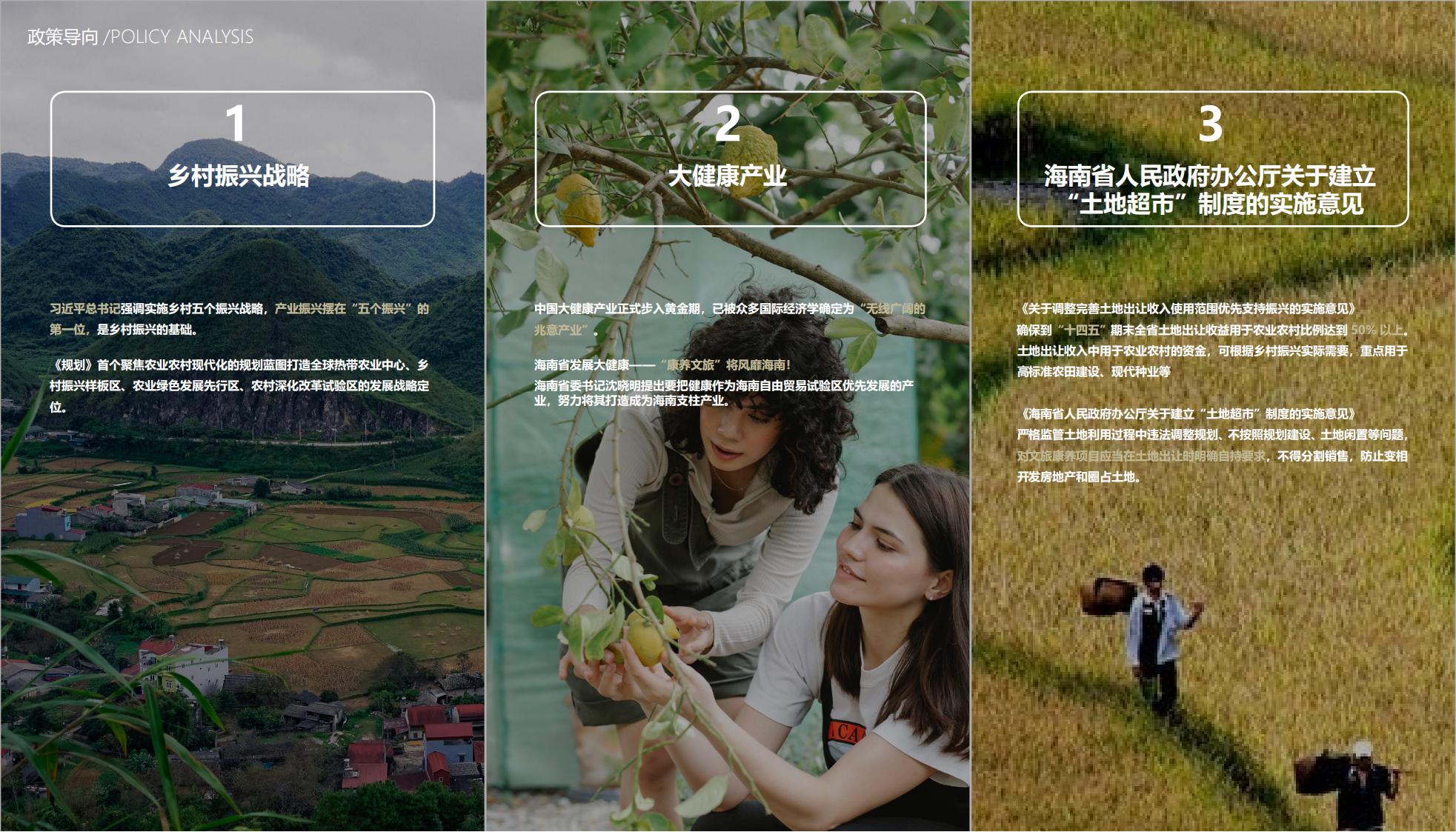 图片[15]-海口南山湖乡村振兴示范区规划方案 - 由甫网-由甫网