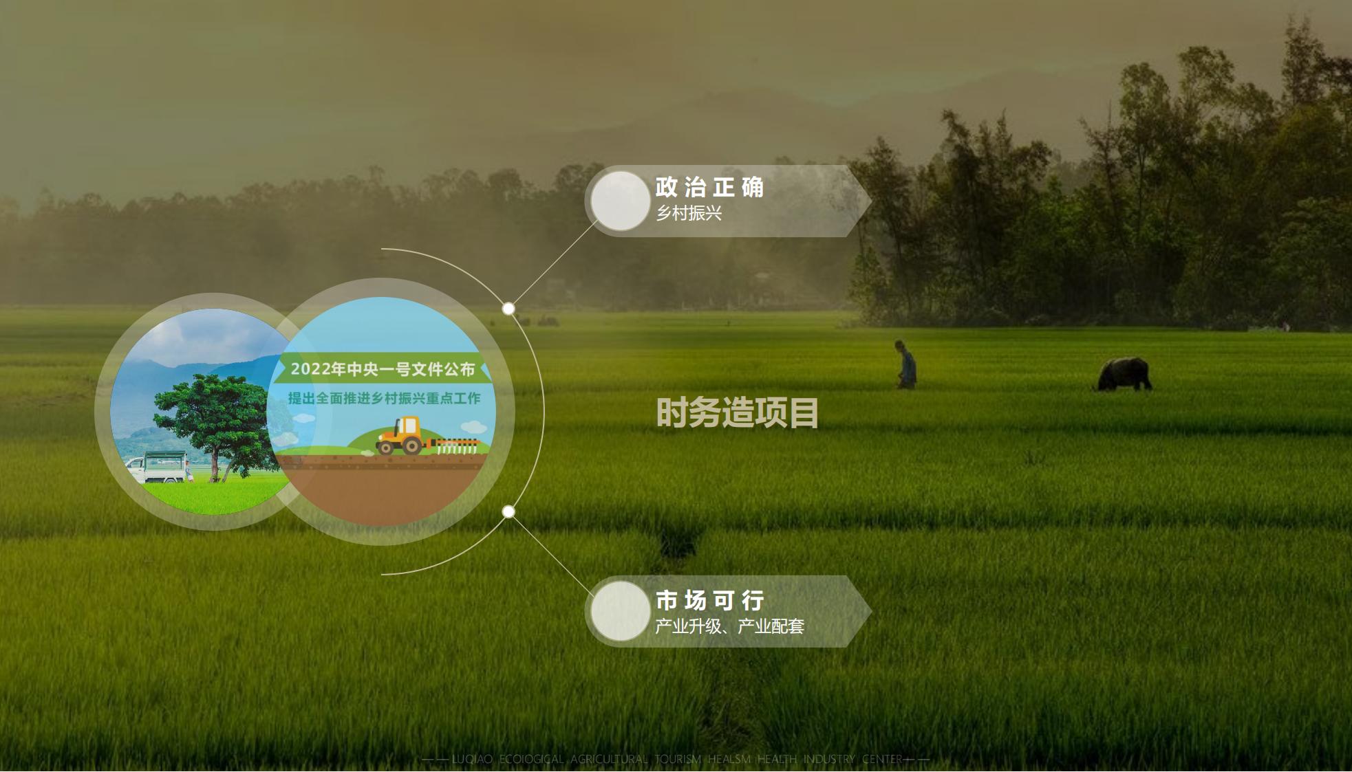 图片[16]-海口南山湖乡村振兴示范区规划方案 - 由甫网-由甫网