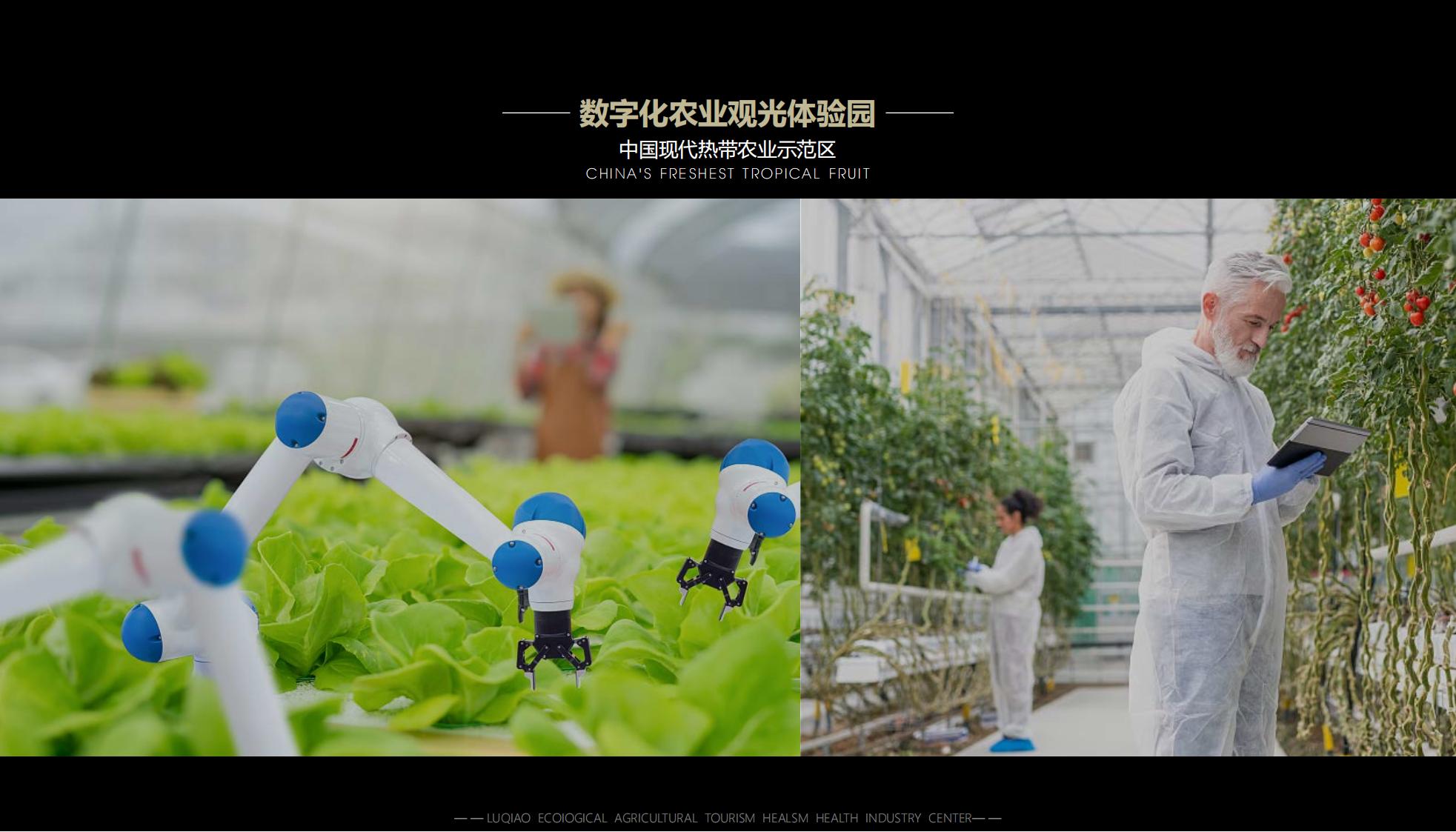 图片[28]-海口南山湖乡村振兴示范区规划方案 - 由甫网-由甫网