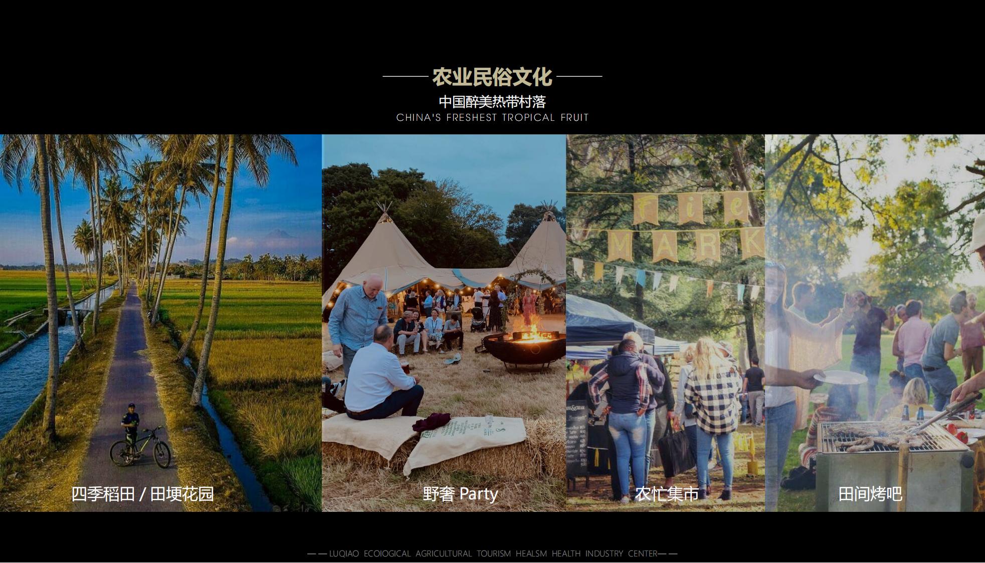 图片[30]-海口南山湖乡村振兴示范区规划方案 - 由甫网-由甫网