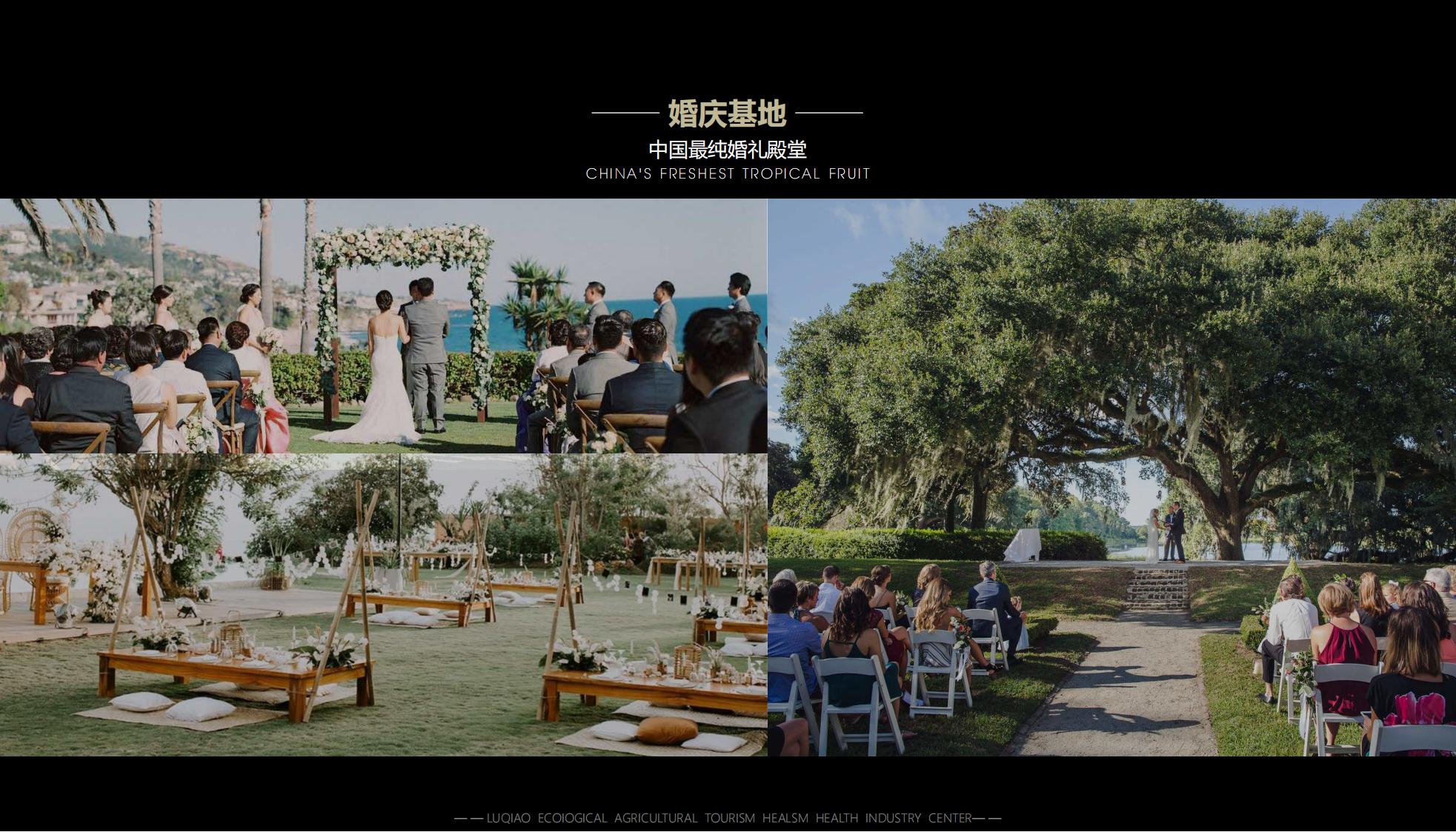 图片[32]-海口南山湖乡村振兴示范区规划方案 - 由甫网-由甫网