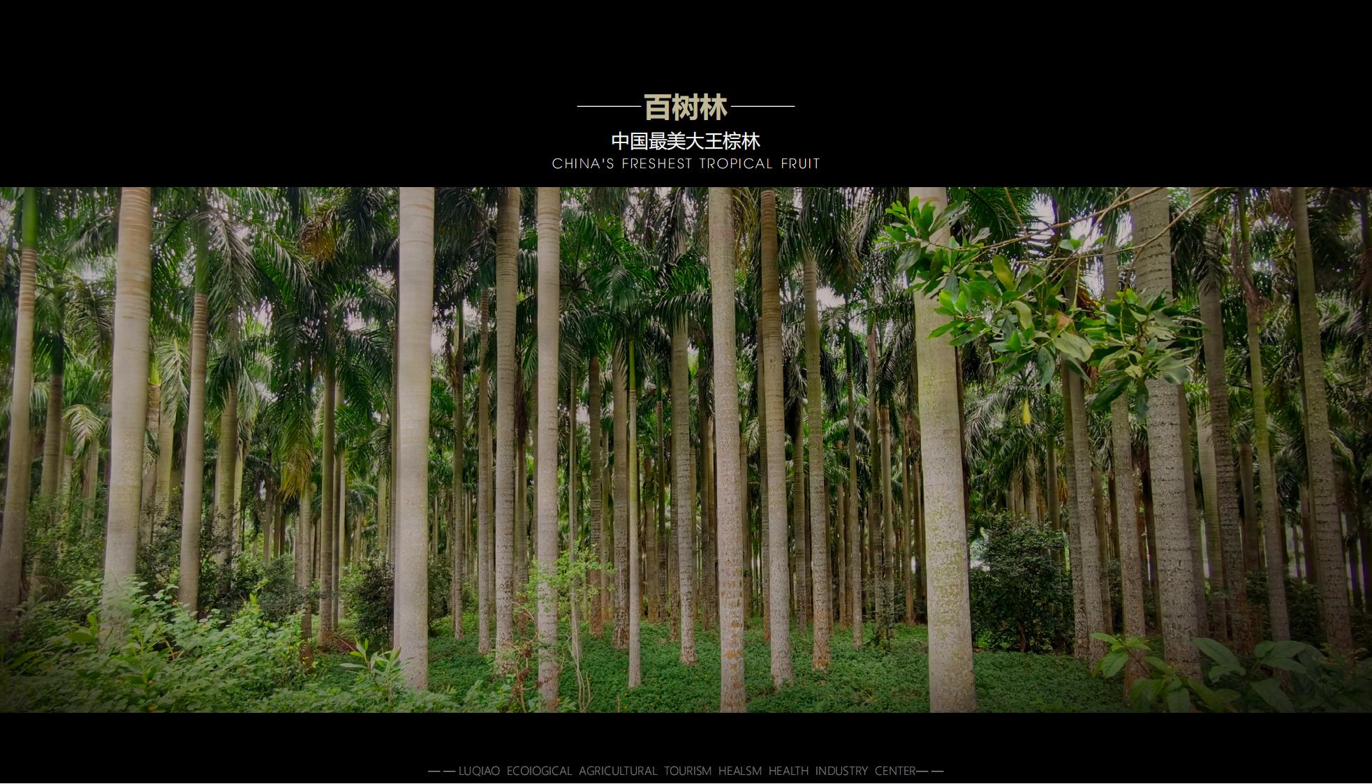 图片[33]-海口南山湖乡村振兴示范区规划方案 - 由甫网-由甫网