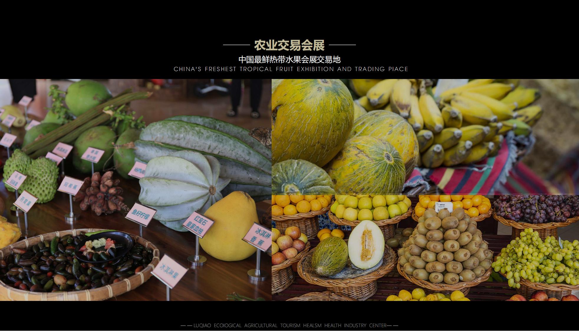 图片[34]-海口南山湖乡村振兴示范区规划方案 - 由甫网-由甫网