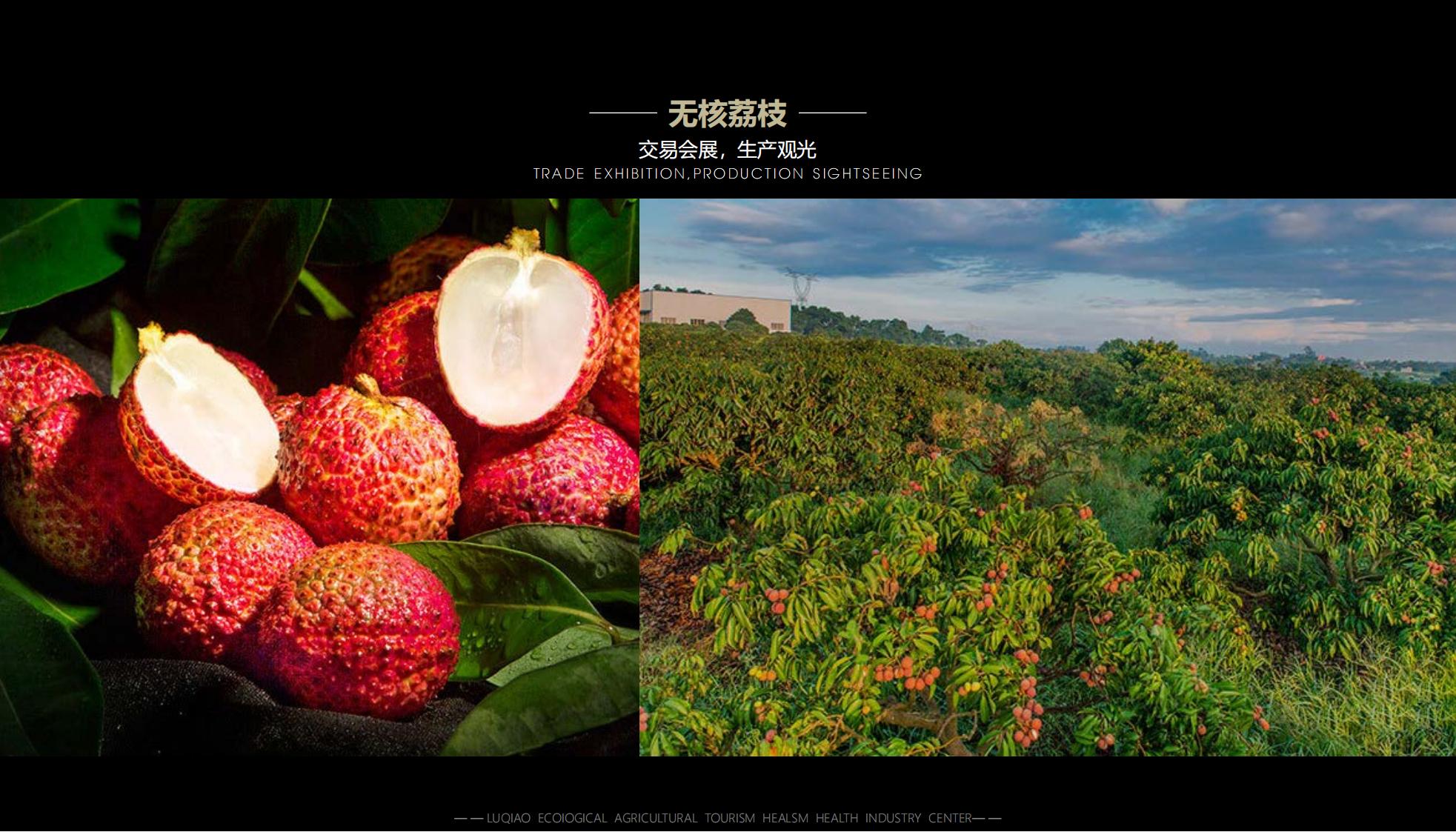 图片[35]-海口南山湖乡村振兴示范区规划方案 - 由甫网-由甫网