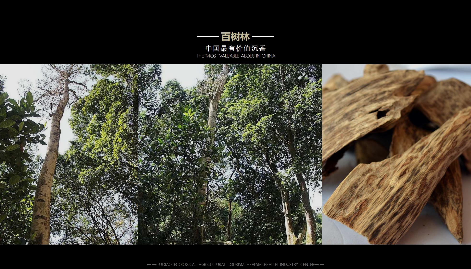 图片[36]-海口南山湖乡村振兴示范区规划方案 - 由甫网-由甫网