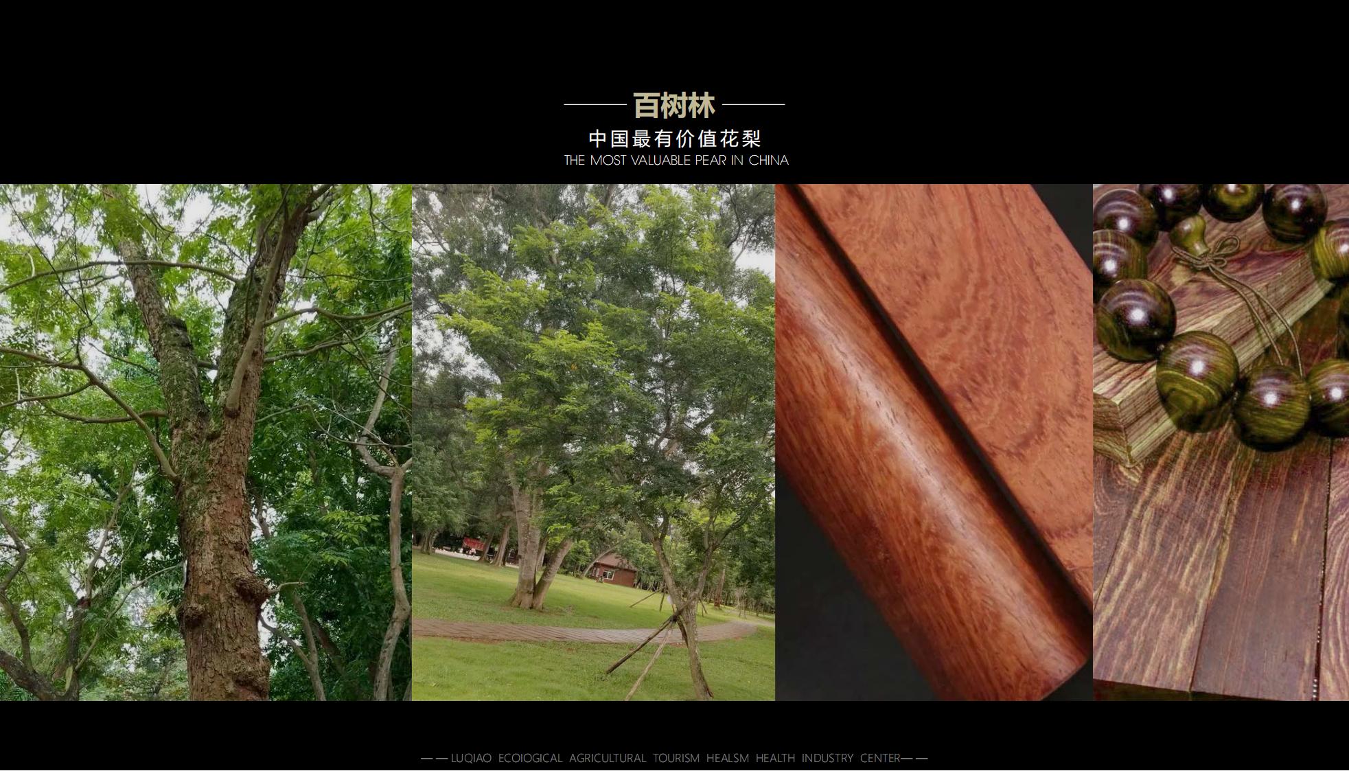 图片[37]-海口南山湖乡村振兴示范区规划方案 - 由甫网-由甫网