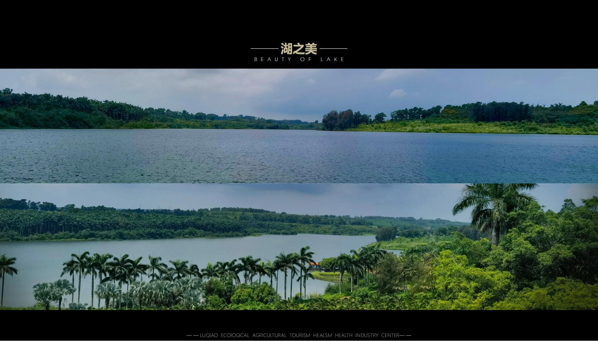 图片[41]-海口南山湖乡村振兴示范区规划方案 - 由甫网-由甫网