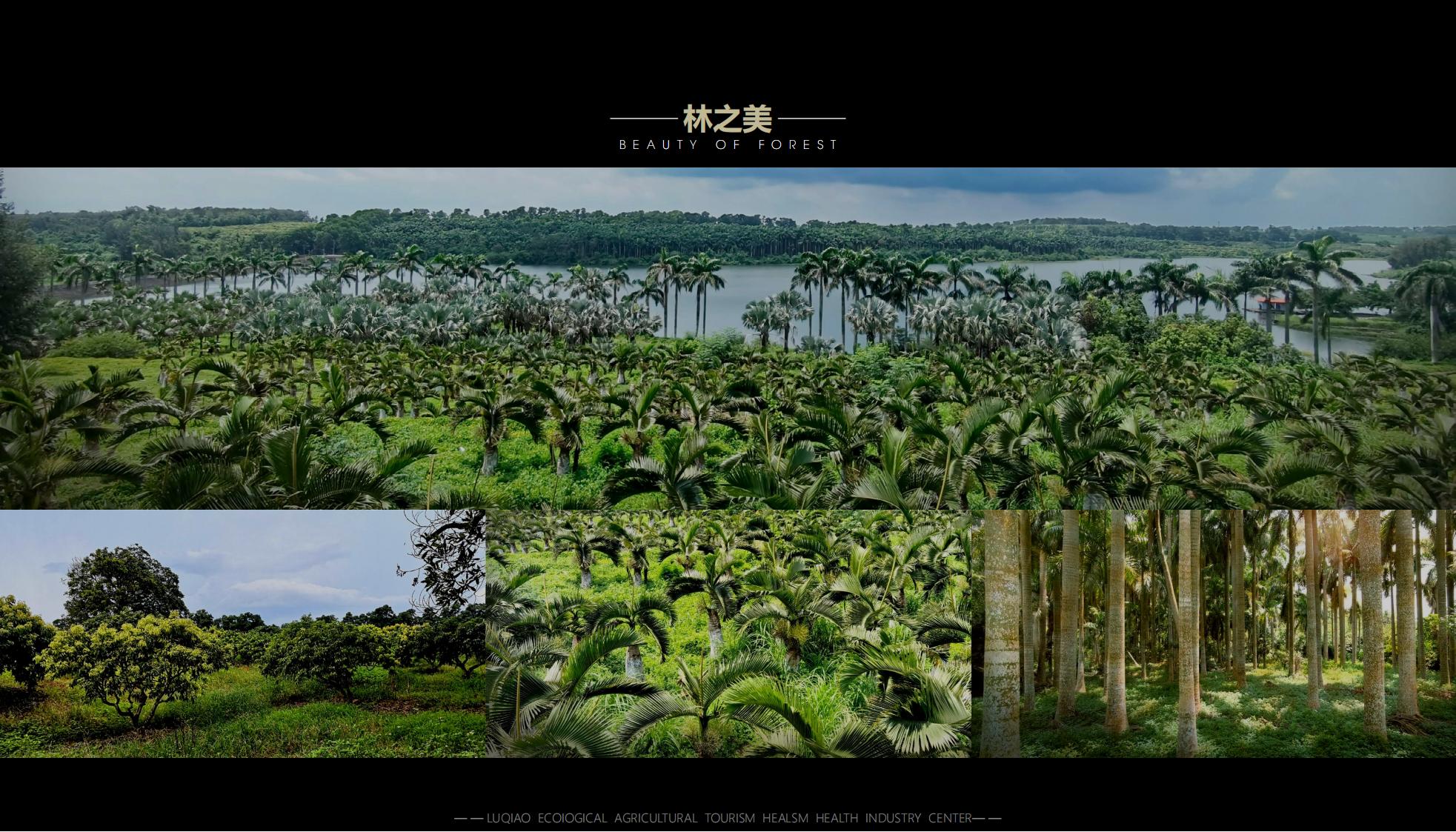 图片[42]-海口南山湖乡村振兴示范区规划方案 - 由甫网-由甫网