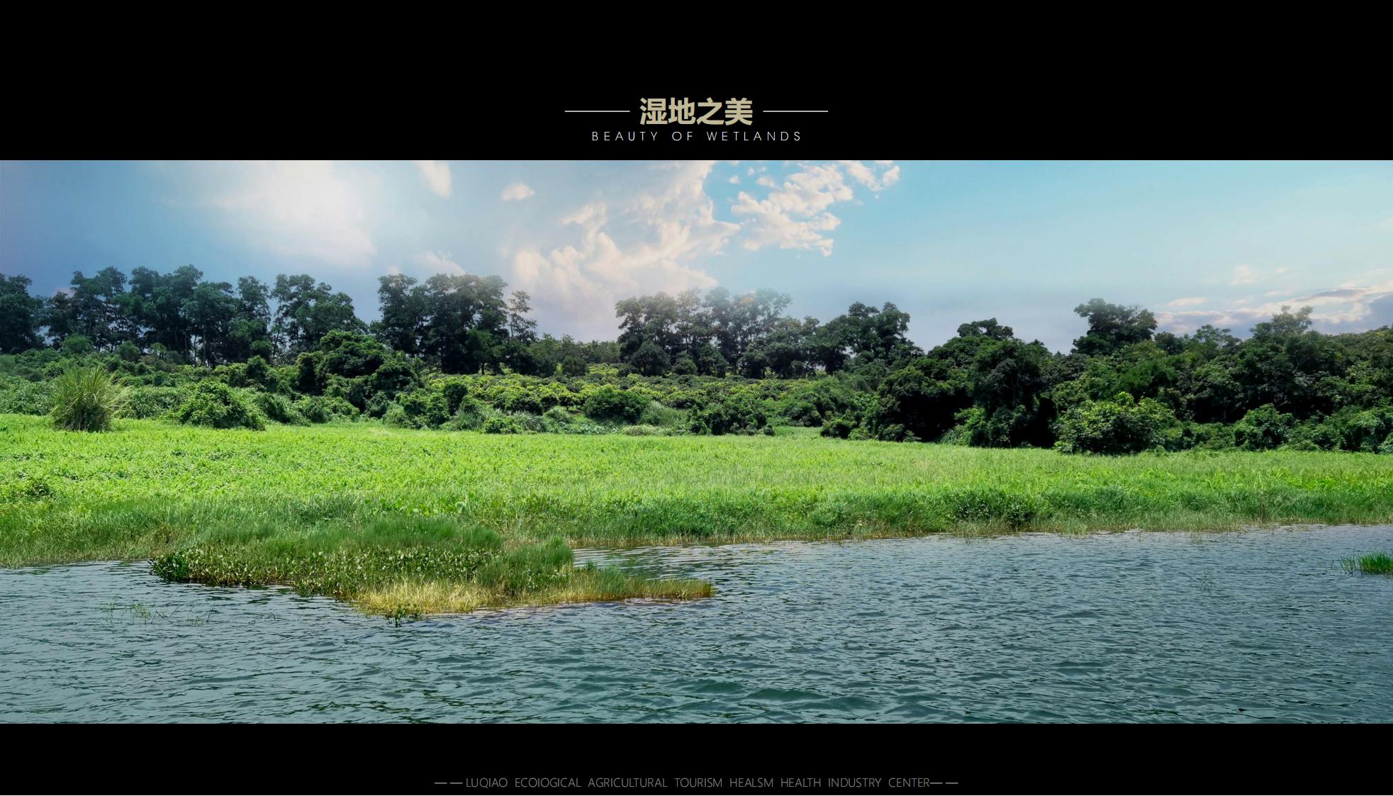 图片[43]-海口南山湖乡村振兴示范区规划方案 - 由甫网-由甫网