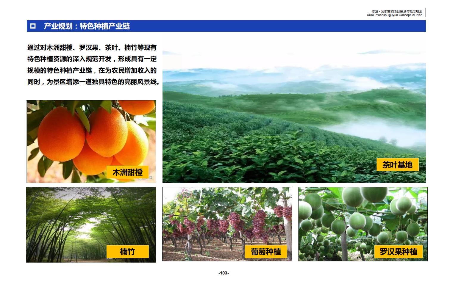 图片[103]-辰溪修溪片区乡村振兴文旅项目前期策划与概念规划 - 由甫网-由甫网