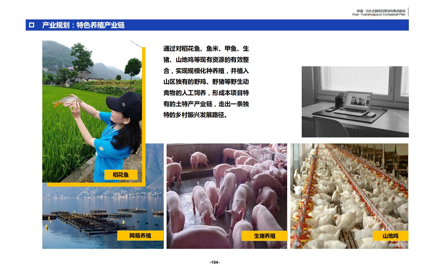图片[104]-辰溪修溪片区乡村振兴文旅项目前期策划与概念规划 - 由甫网-由甫网