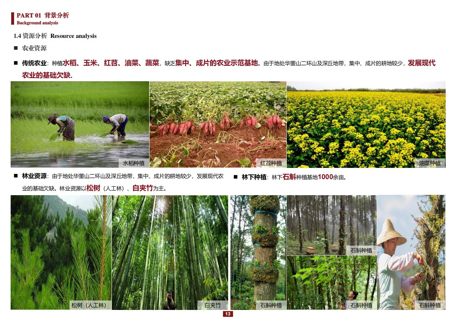 图片[13]-阳和镇观城村红色主题乡村振兴策划及规划 - 由甫网-由甫网