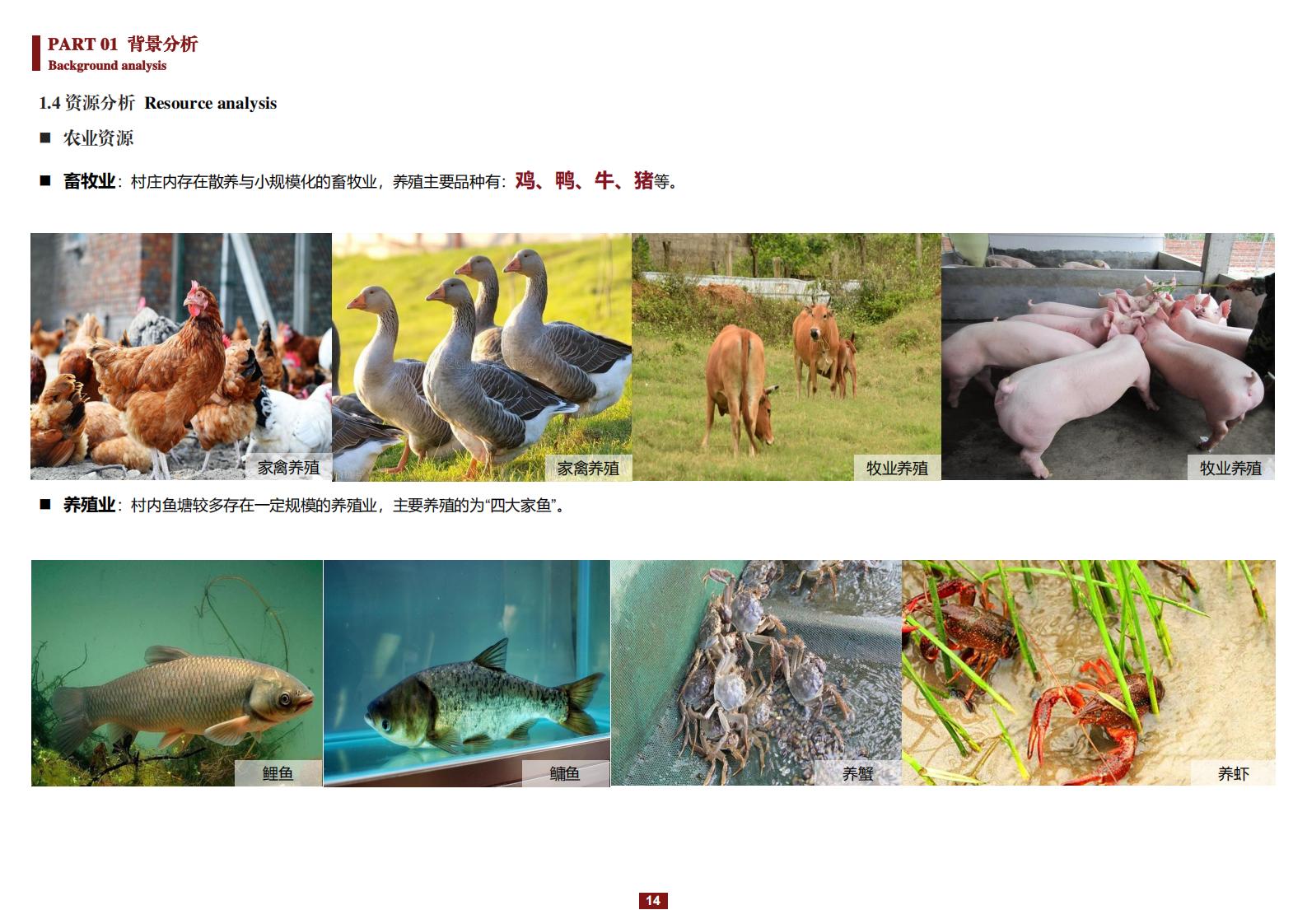 图片[14]-阳和镇观城村红色主题乡村振兴策划及规划 - 由甫网-由甫网