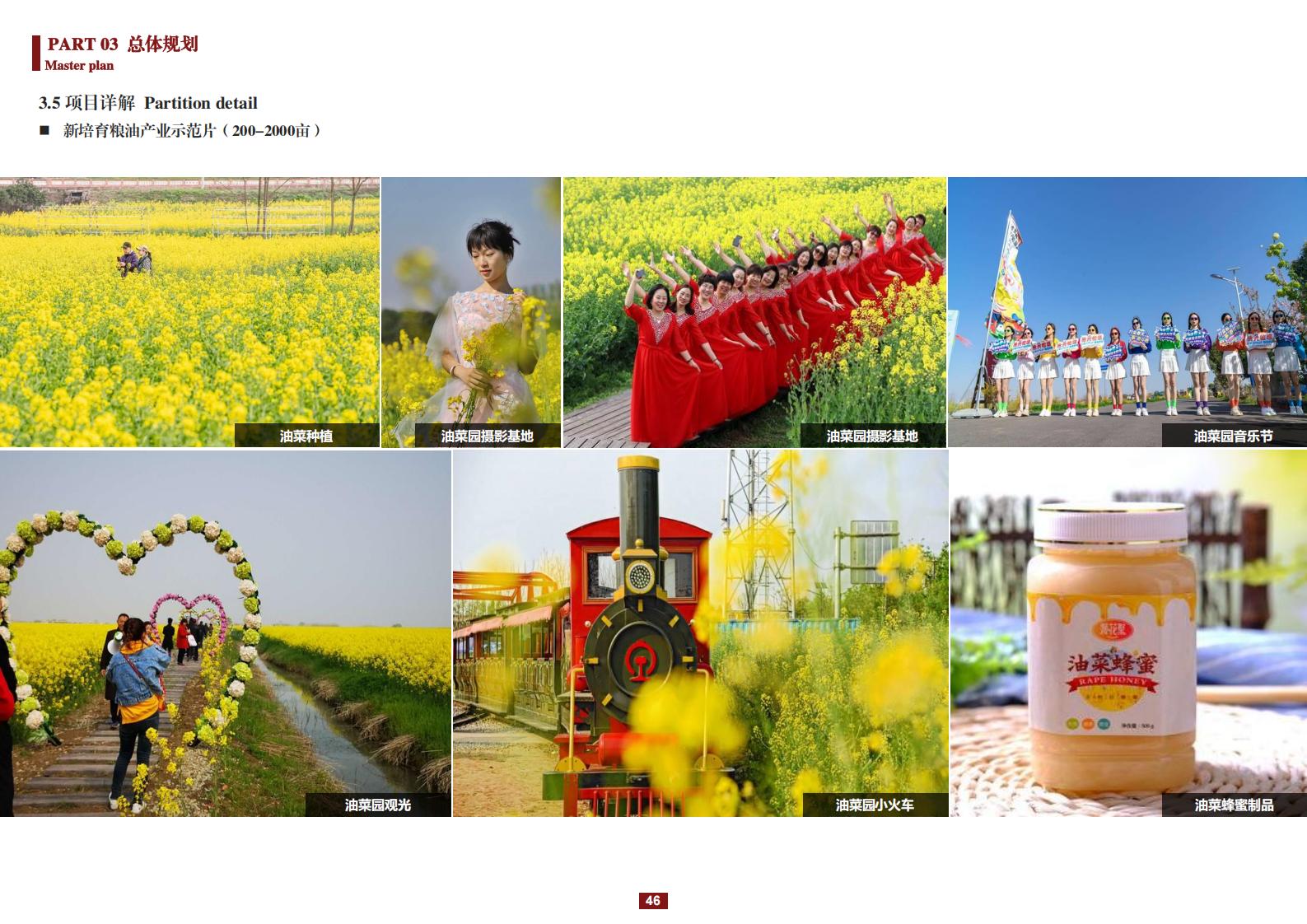 图片[46]-阳和镇观城村红色主题乡村振兴策划及规划 - 由甫网-由甫网