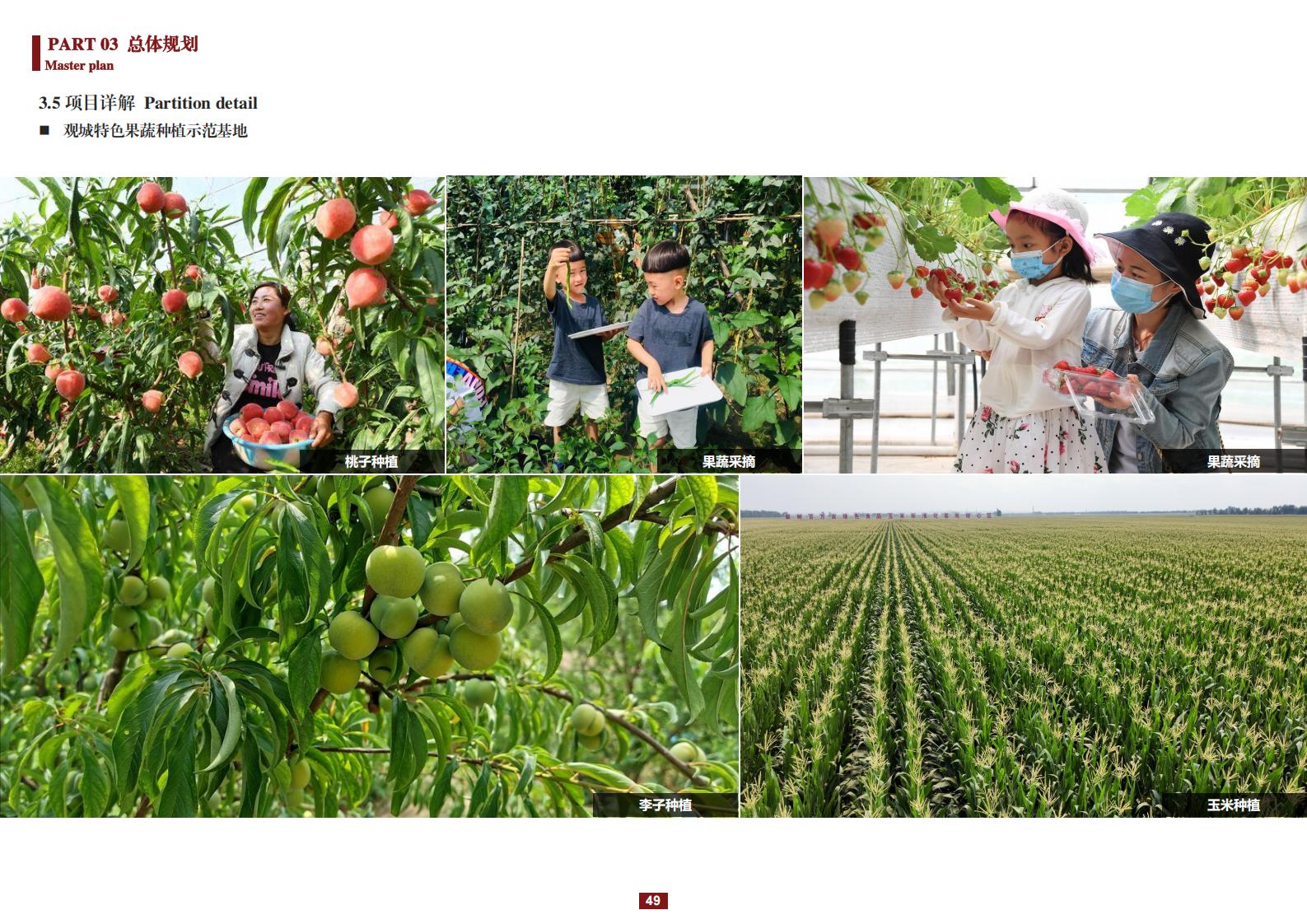 图片[49]-阳和镇观城村红色主题乡村振兴策划及规划 - 由甫网-由甫网
