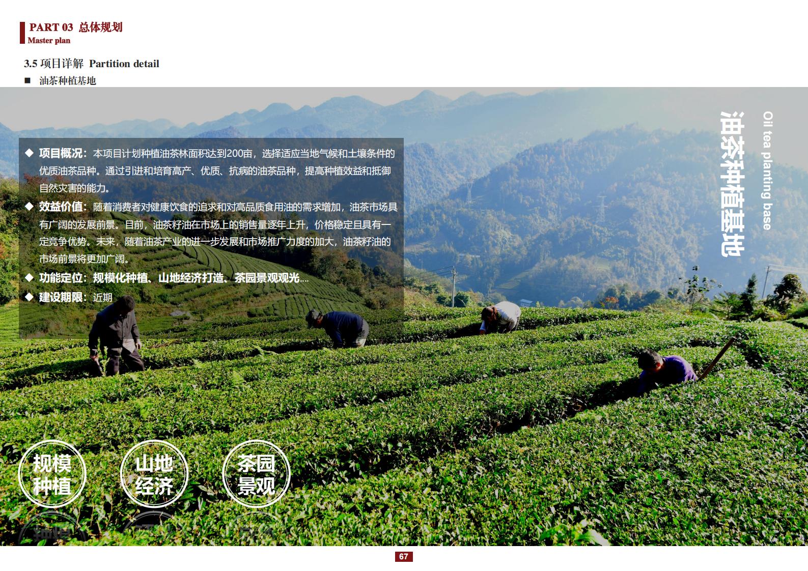 图片[67]-阳和镇观城村红色主题乡村振兴策划及规划 - 由甫网-由甫网