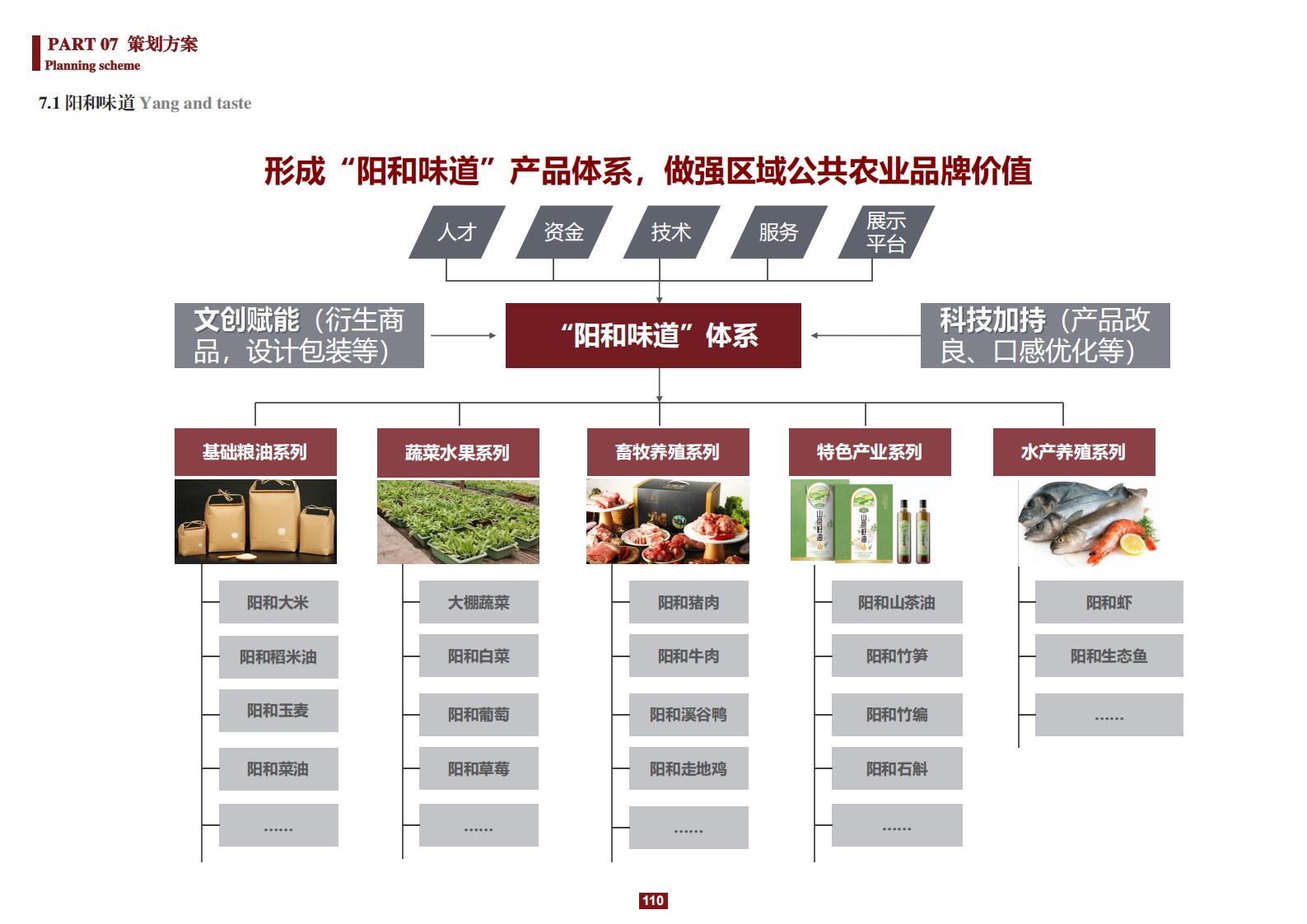 图片[110]-阳和镇观城村红色主题乡村振兴策划及规划 - 由甫网-由甫网