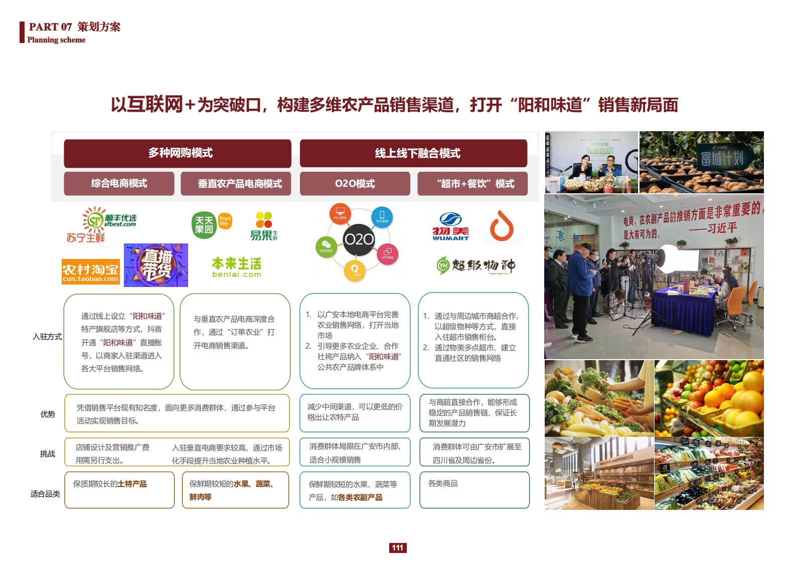 图片[111]-阳和镇观城村红色主题乡村振兴策划及规划 - 由甫网-由甫网