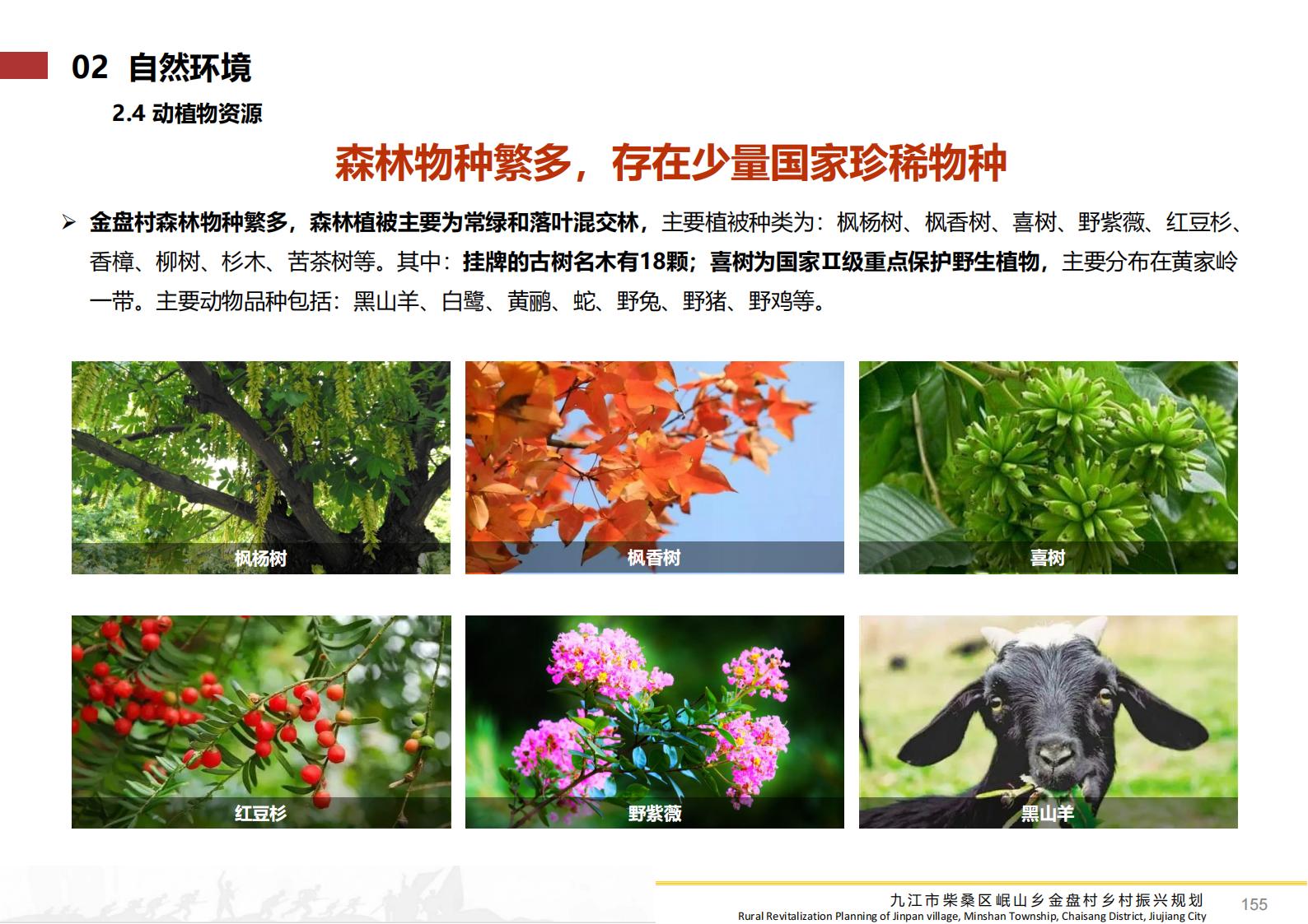 图片[154]-九江市柴桑区金盘村乡村振兴总体规划 - 由甫网-由甫网