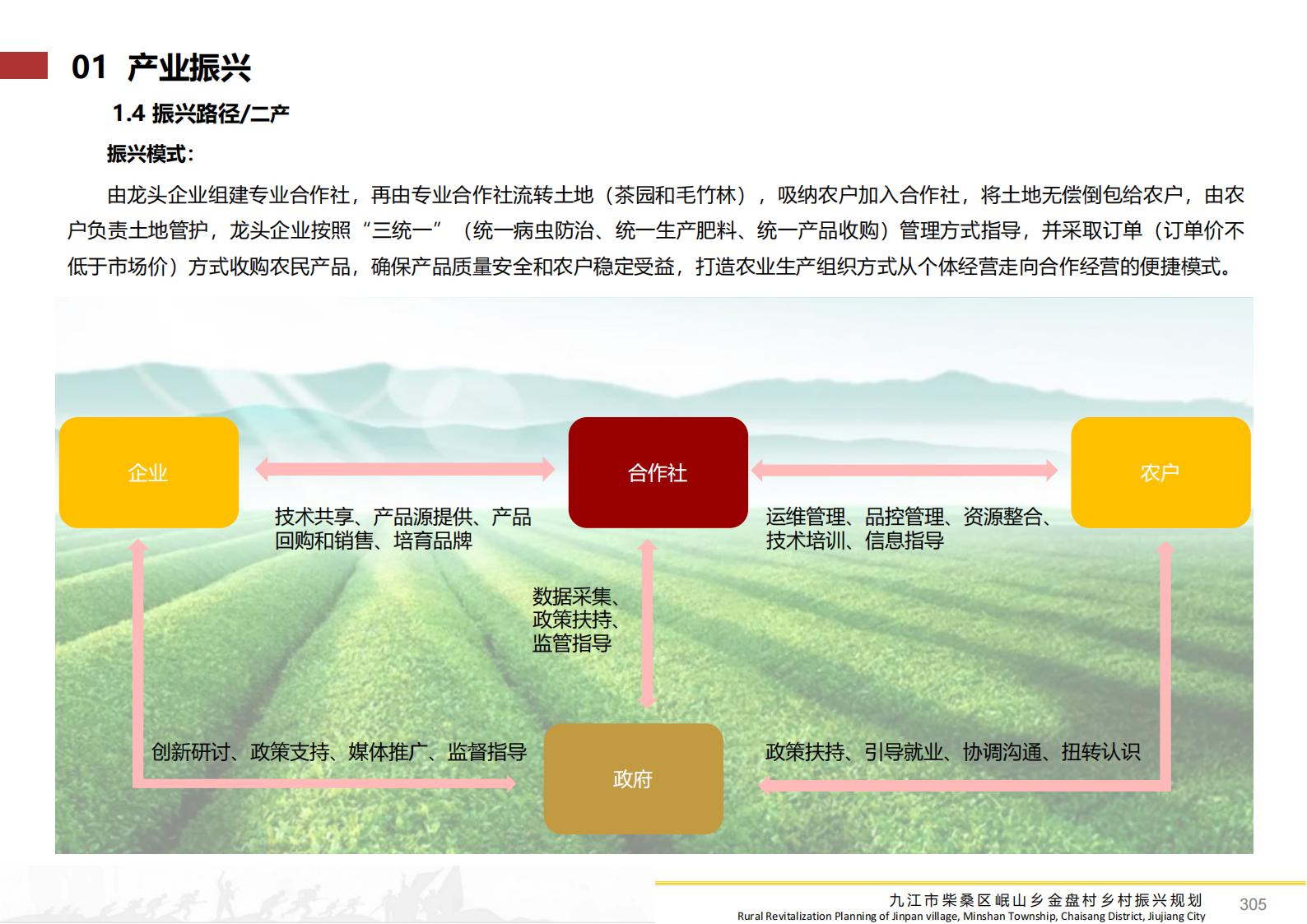 图片[304]-九江市柴桑区金盘村乡村振兴总体规划 - 由甫网-由甫网
