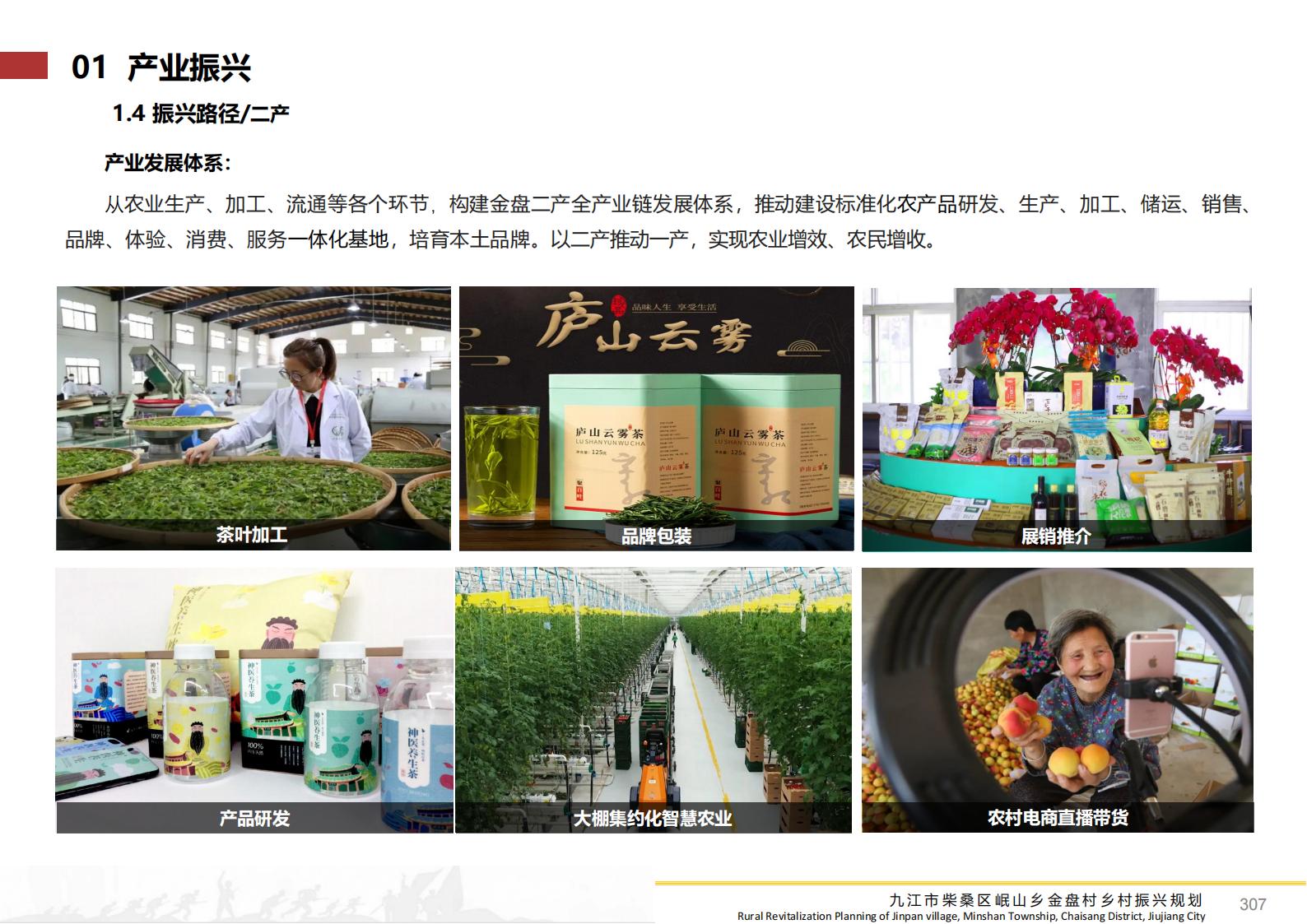 图片[306]-九江市柴桑区金盘村乡村振兴总体规划 - 由甫网-由甫网