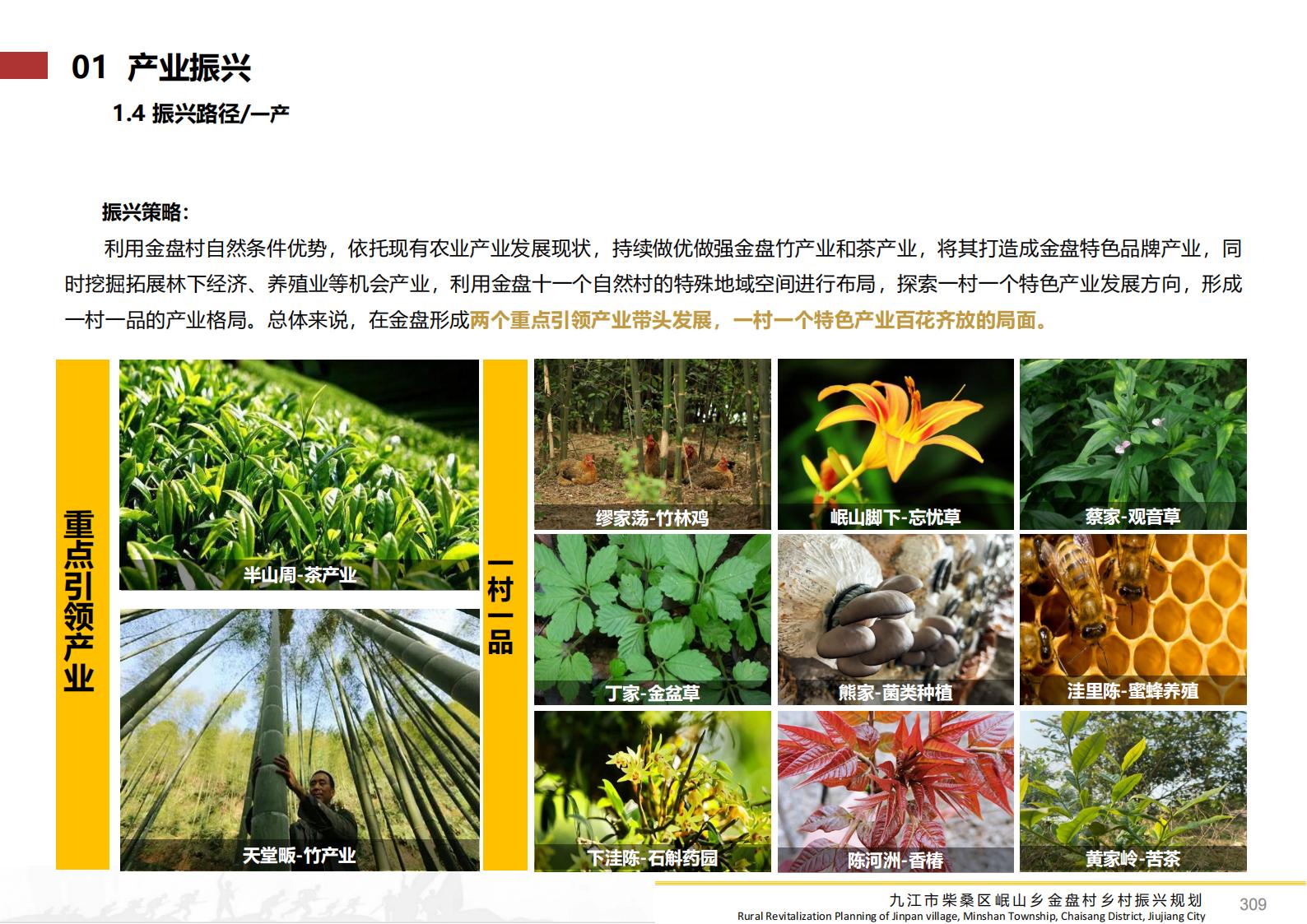 图片[308]-九江市柴桑区金盘村乡村振兴总体规划 - 由甫网-由甫网