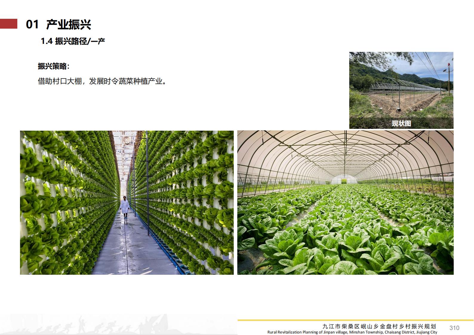 图片[309]-九江市柴桑区金盘村乡村振兴总体规划 - 由甫网-由甫网