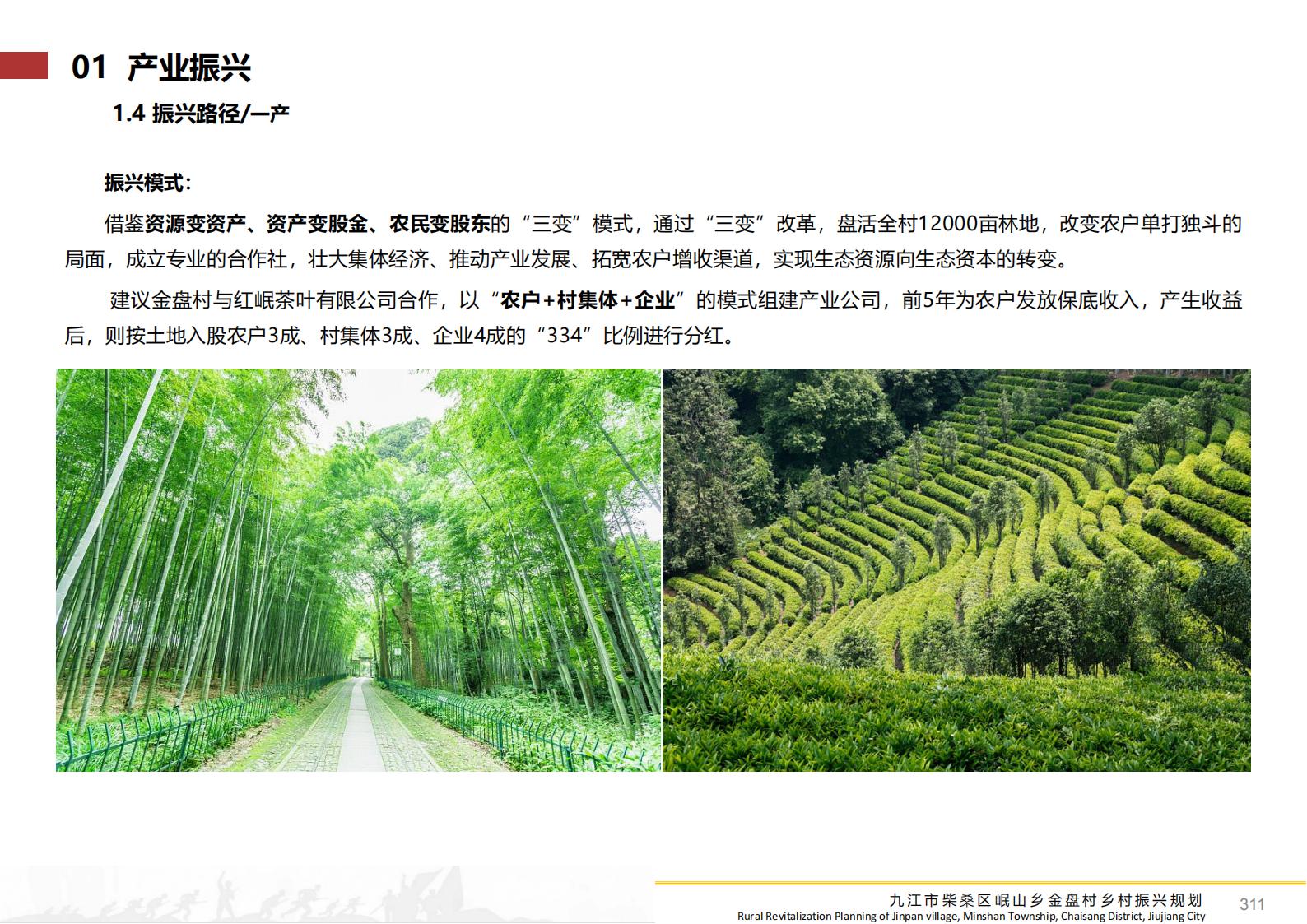 图片[310]-九江市柴桑区金盘村乡村振兴总体规划 - 由甫网-由甫网