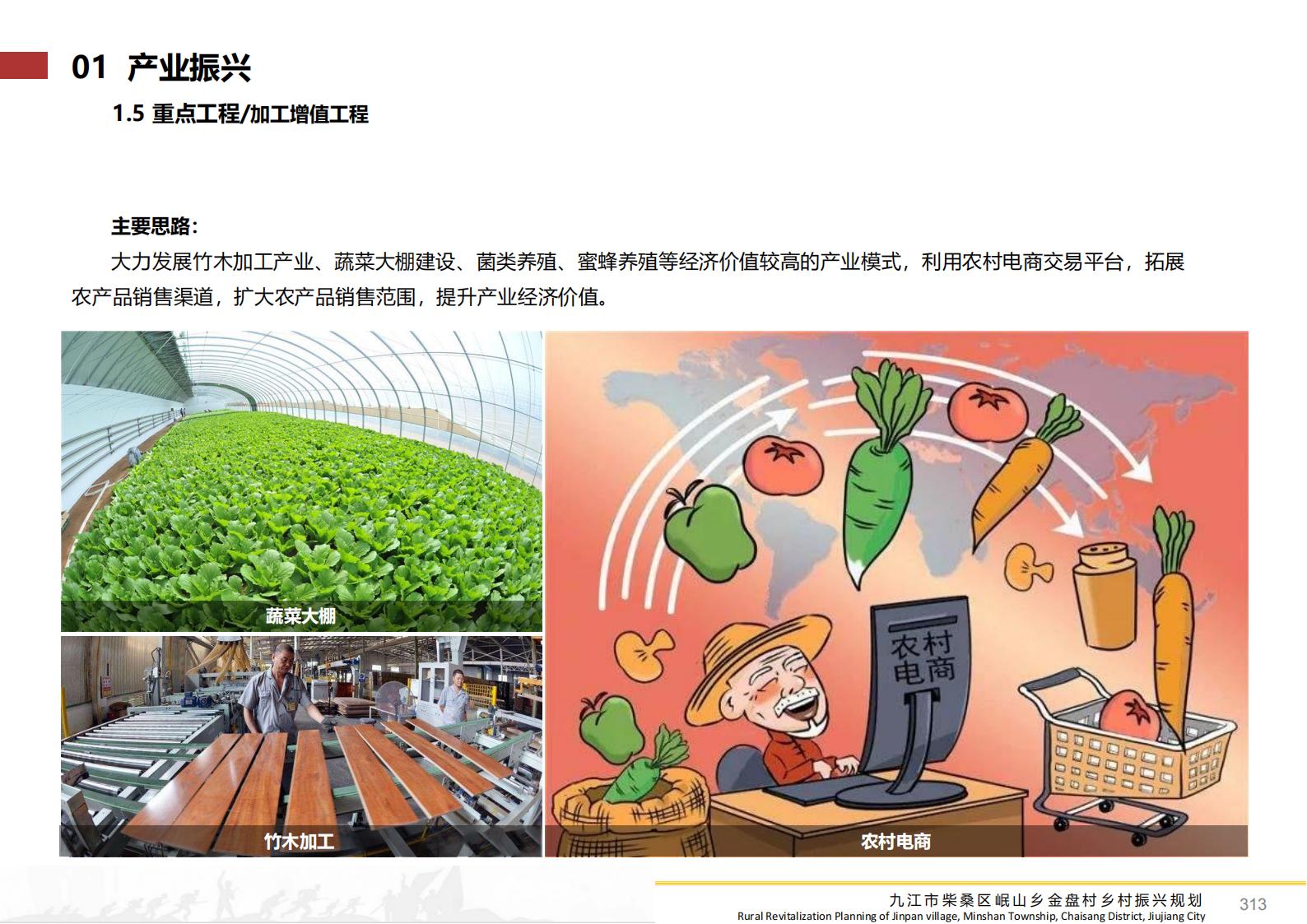 图片[312]-九江市柴桑区金盘村乡村振兴总体规划 - 由甫网-由甫网