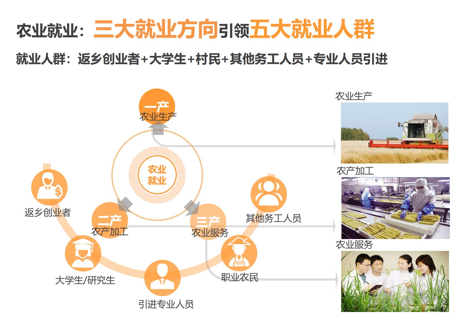 图片[160]-绍兴诸暨乡村振兴发展战略方案文本 - 由甫网-由甫网
