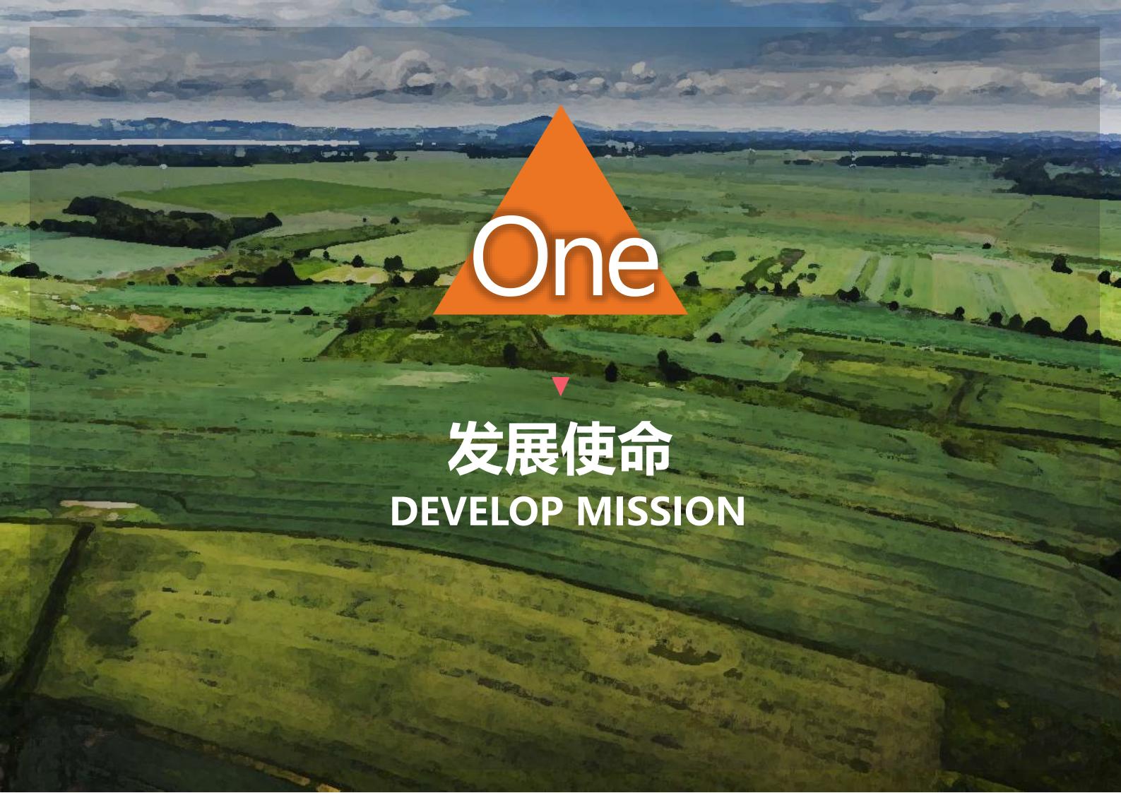 图片[9]-绍兴诸暨乡村振兴发展战略方案文本 - 由甫网-由甫网