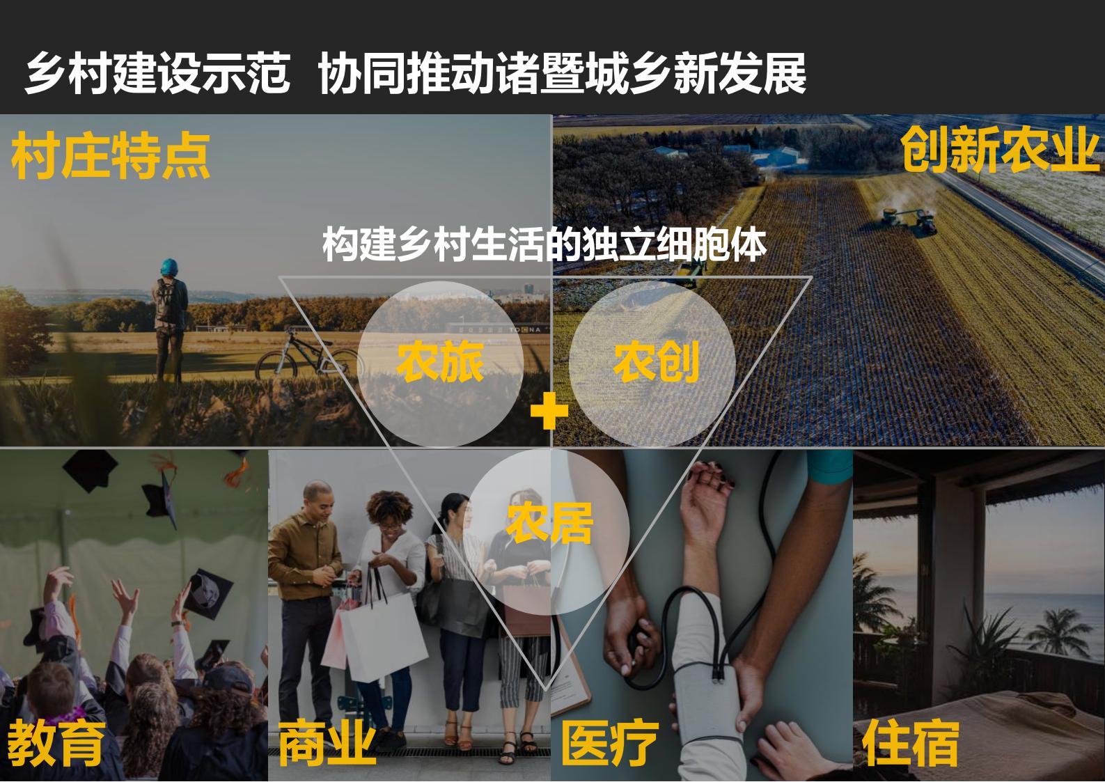 图片[80]-绍兴诸暨乡村振兴发展战略方案文本 - 由甫网-由甫网