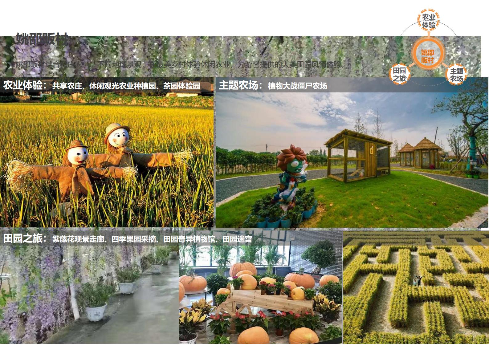 图片[93]-绍兴诸暨乡村振兴发展战略方案文本 - 由甫网-由甫网